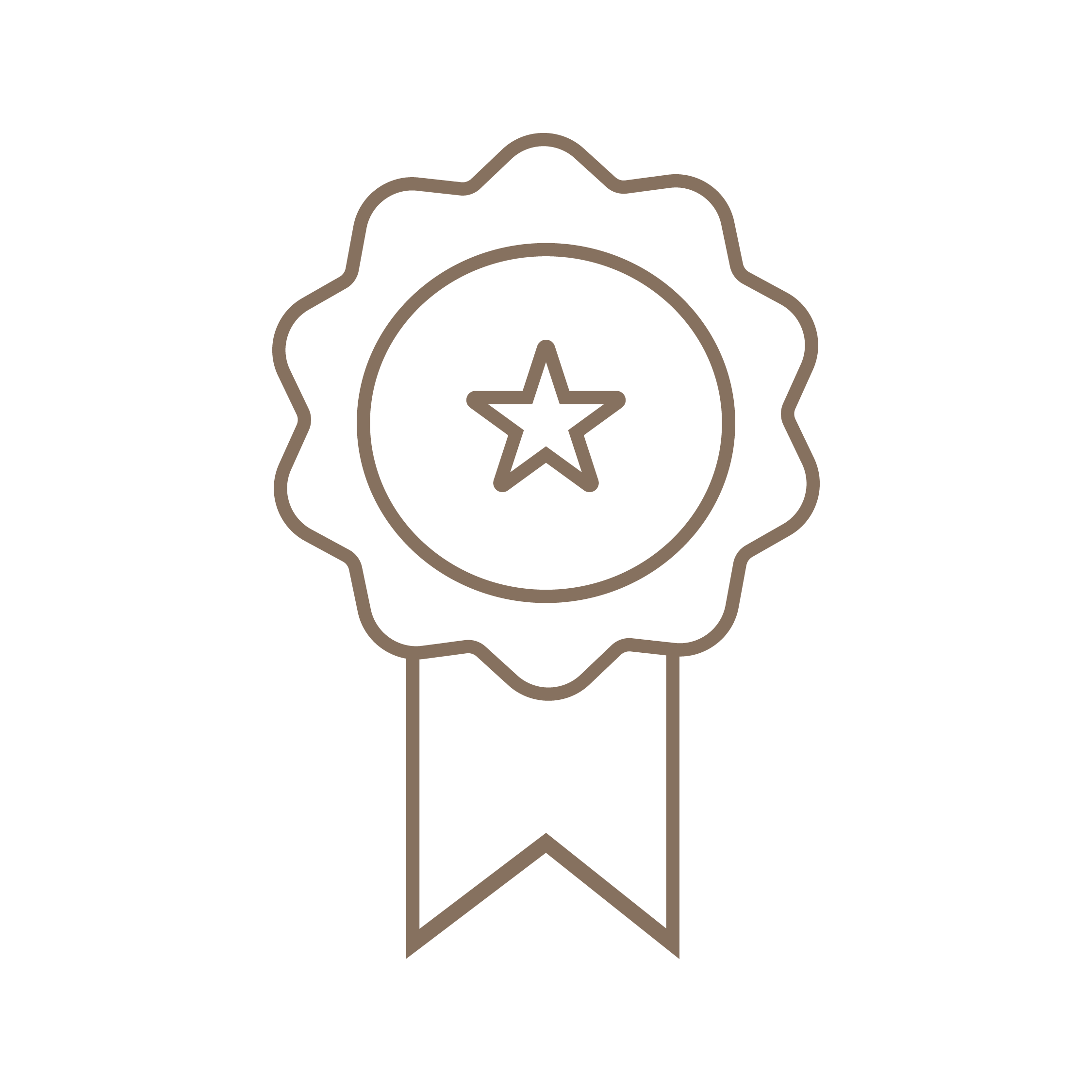 Insignia de premiación con una estrella en el centro y una cinta en la parte inferior.