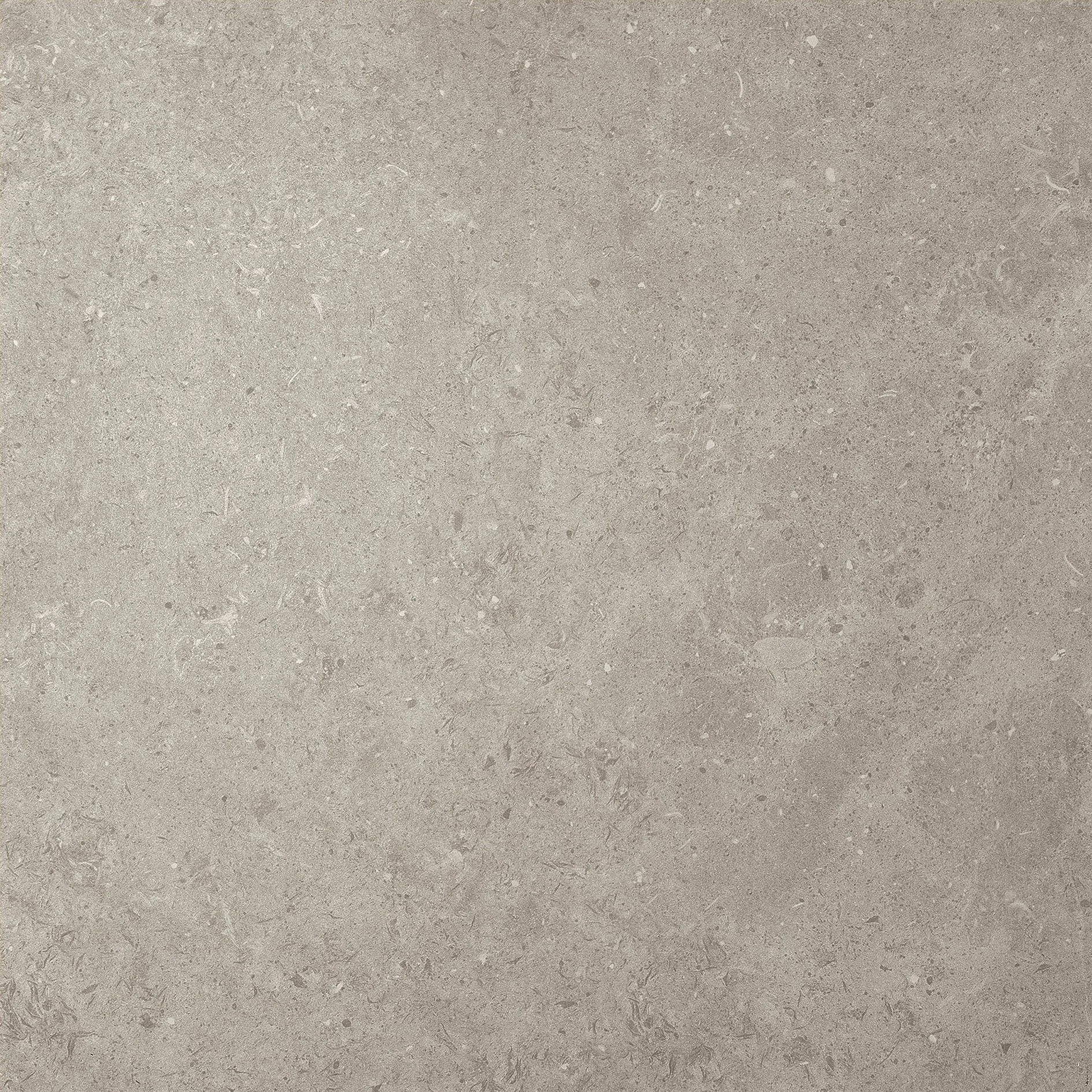 Fondo gris con textura de piedra.