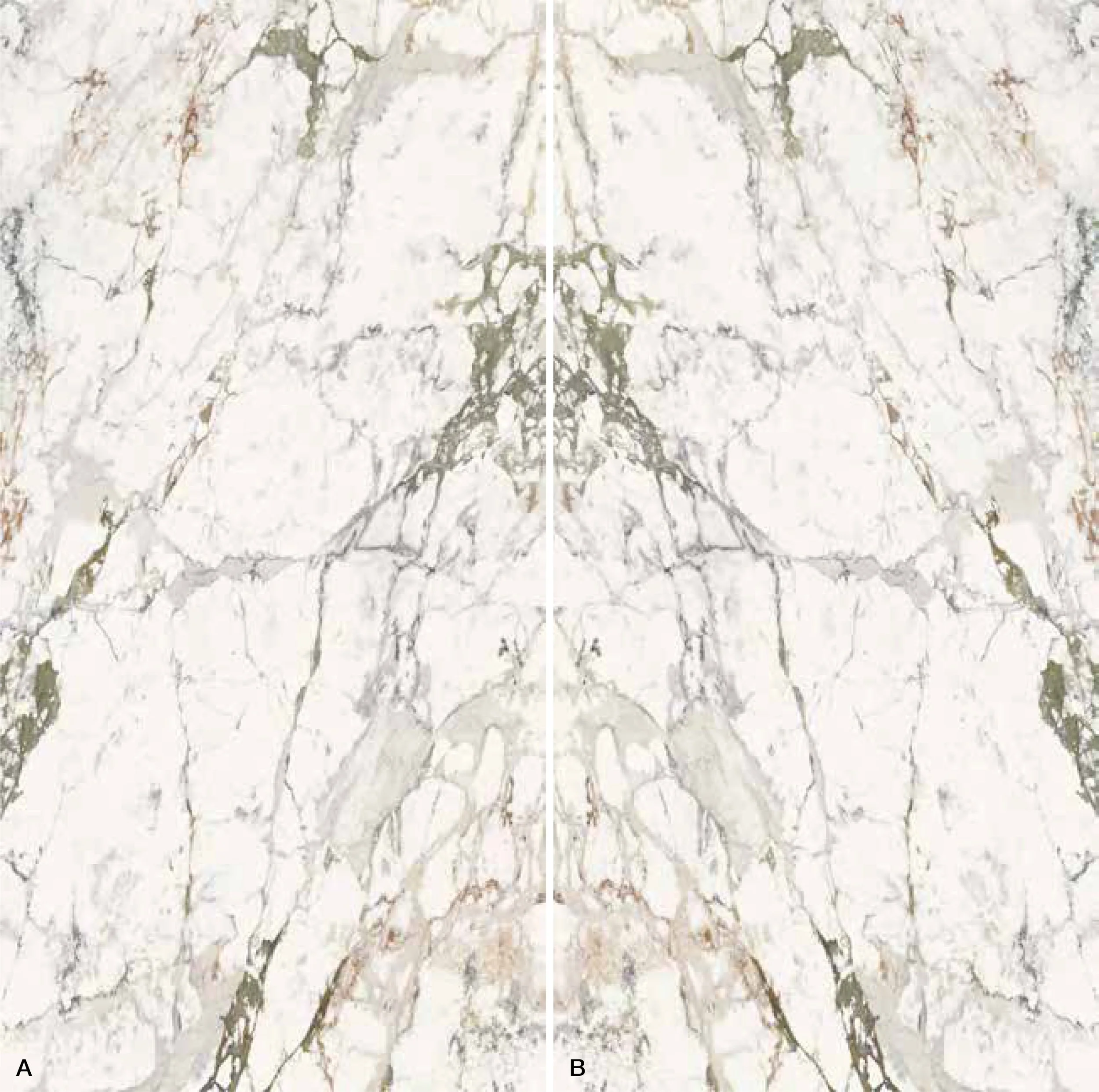 Imagen de mármol con patrones de vetas blancas, grises, verdes y beige, simétricamente reflejados de un lado a otro.