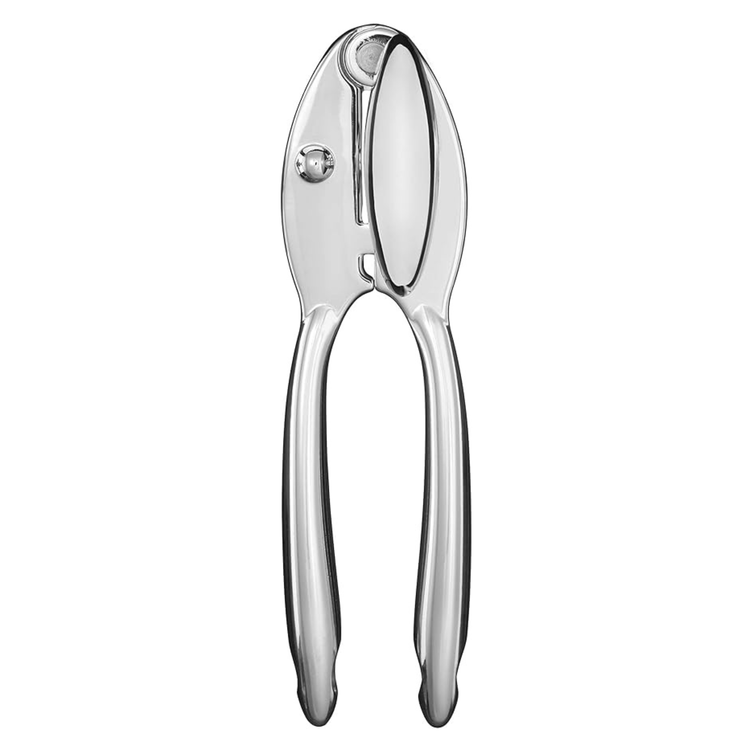 Untitled design (15).png