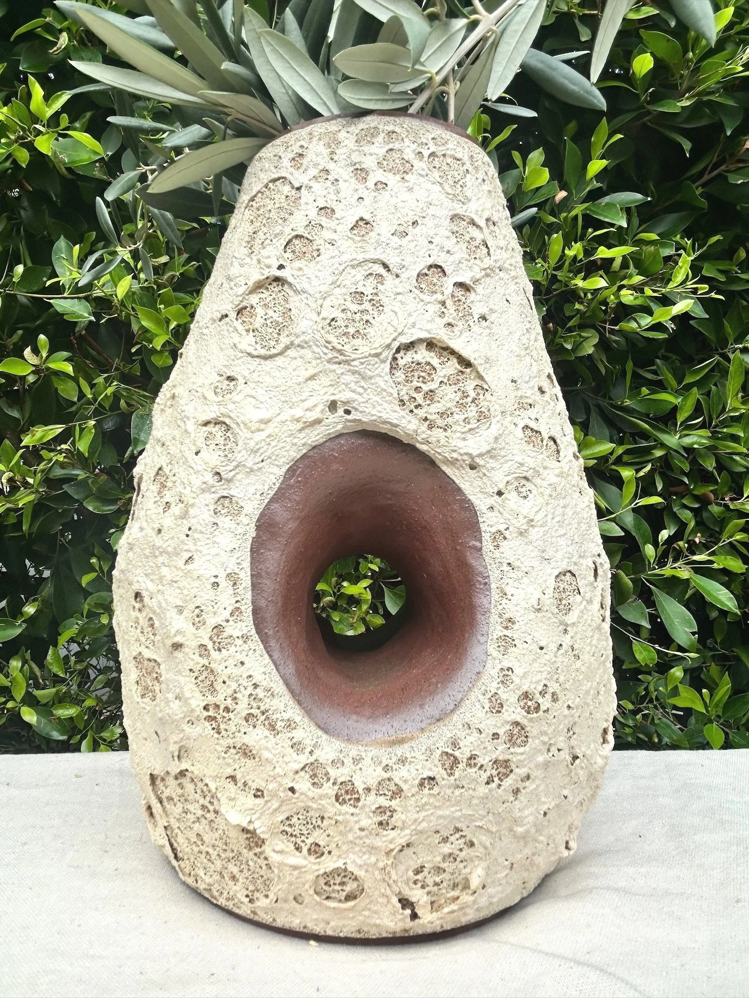 coral_texture_cave_vase_00.jpg