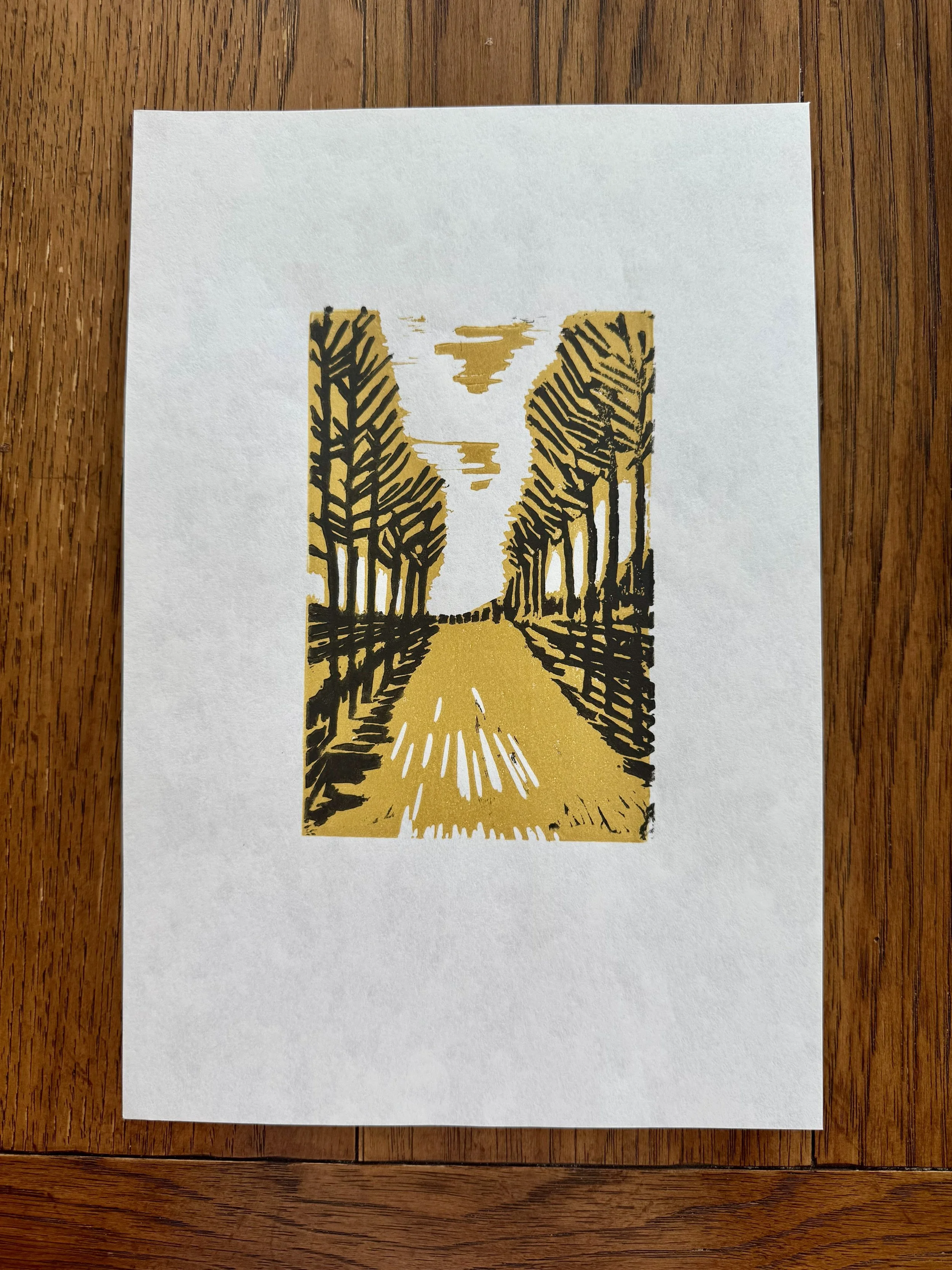 Alley Bordered by Trees - Last One