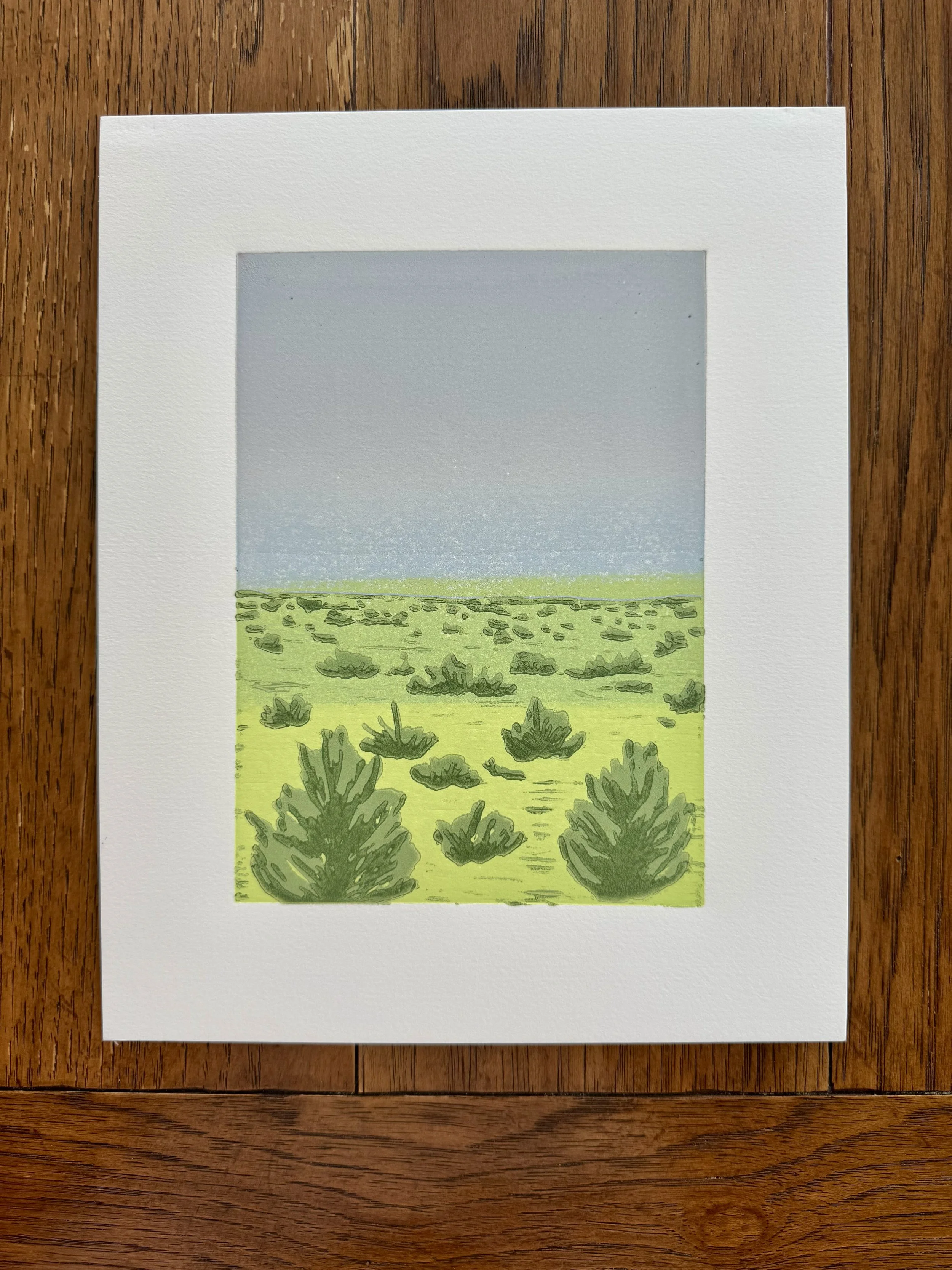 Hazy Meadow