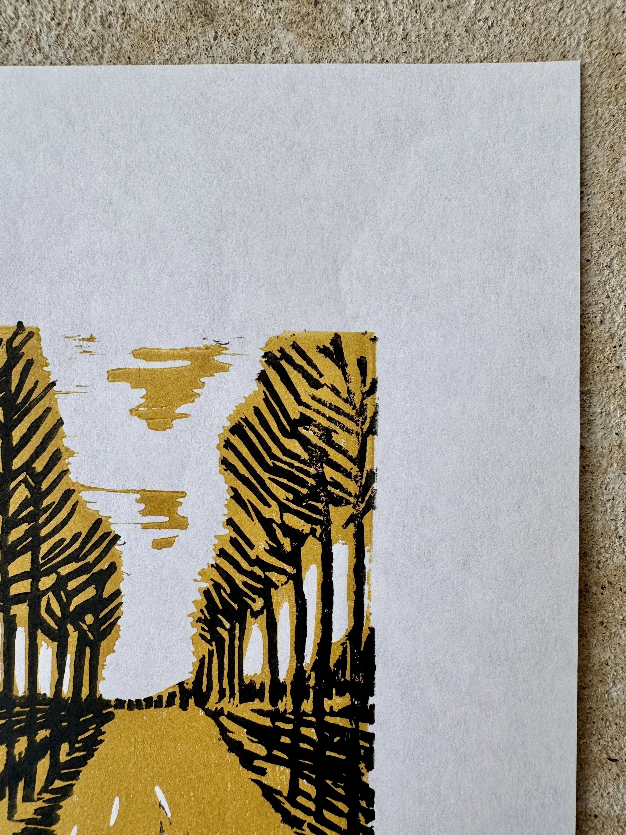 IMG_3837.jpg