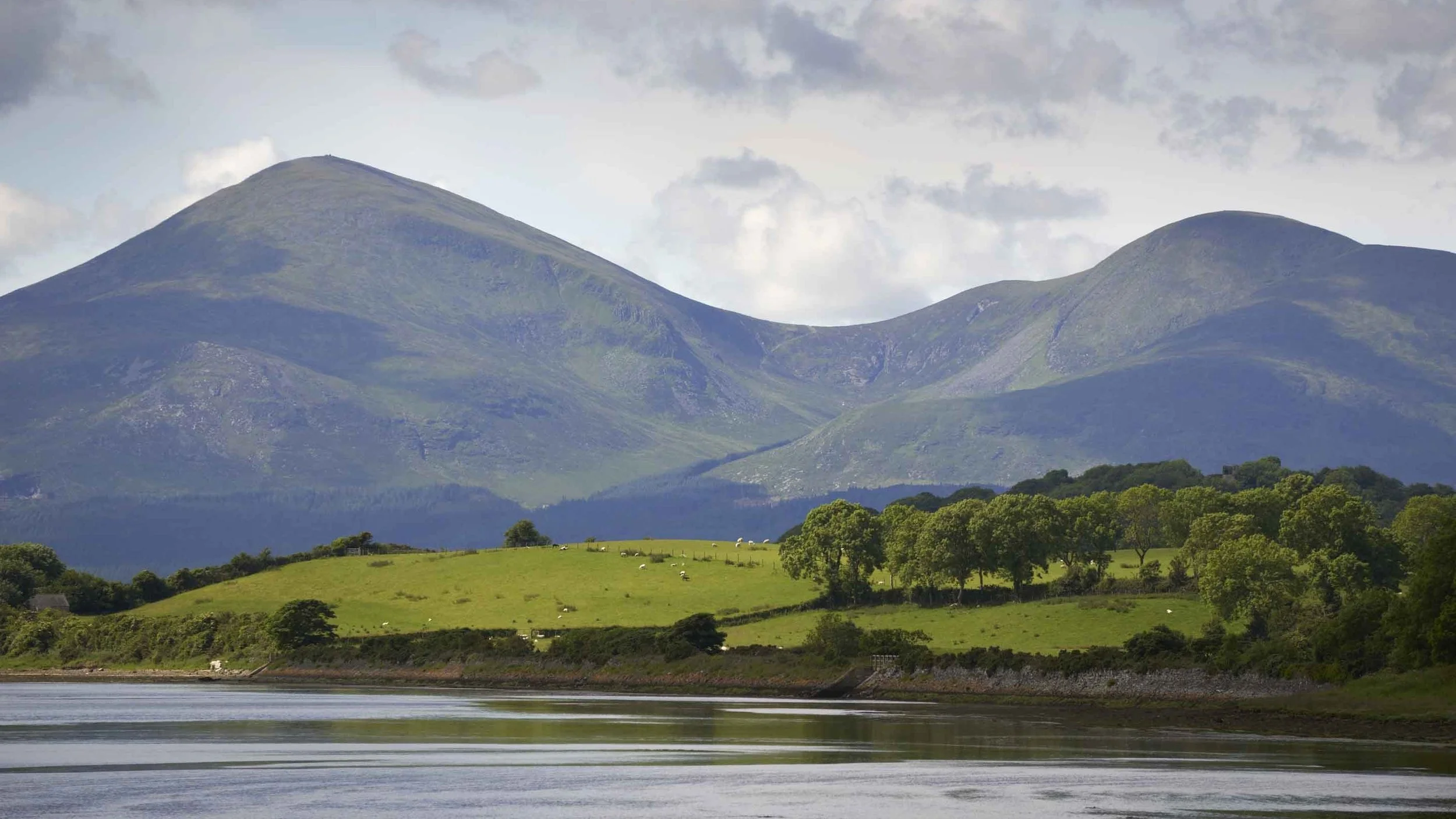 Scenic view of green hills with grazing sheep, trees, a calm river in the foreground, and mountains with cloudy sky in the background.