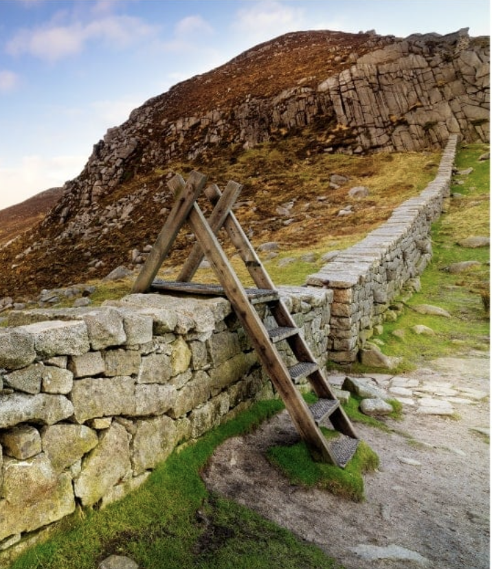 Stone wall with wooden ladder leaning on it, leading up a hill with a stone path alongside.