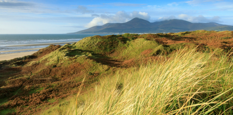 Coastal landscape with grassy dunes, shoreline, ocean, and mountains in the background under a partly cloudy sky.