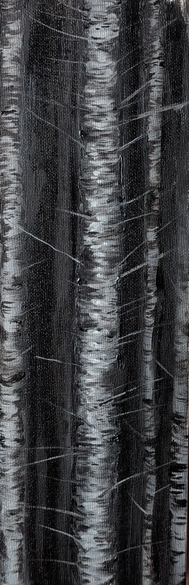 PXL_20250930_133828958.jpg