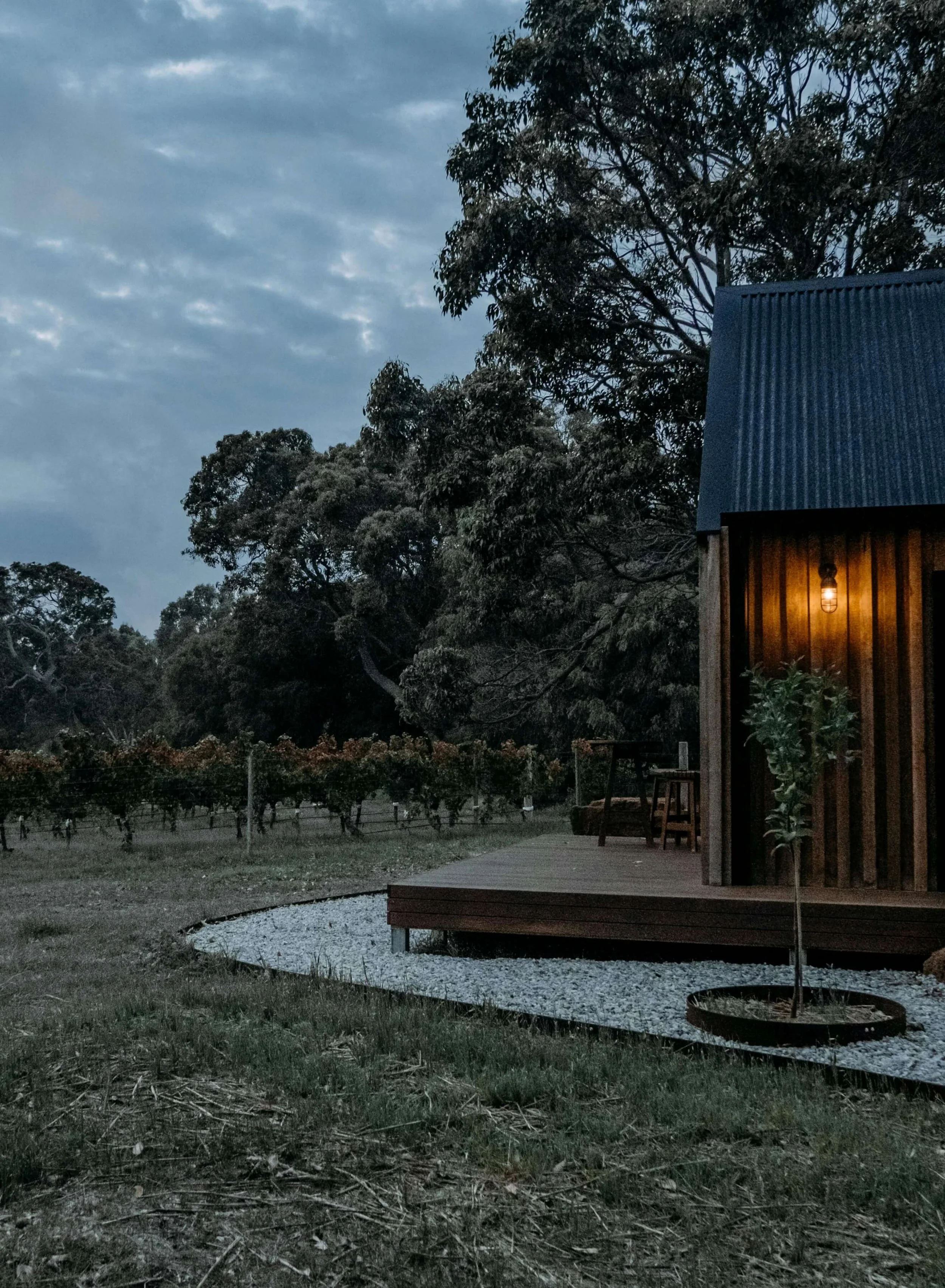 Exterior of a wooden house at dusk with a lit outdoor light, small tree in a circular planter, and a wide porch in a rural setting with trees and vineyard in the background.