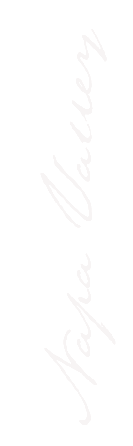 Vertical banner in white cursive script.