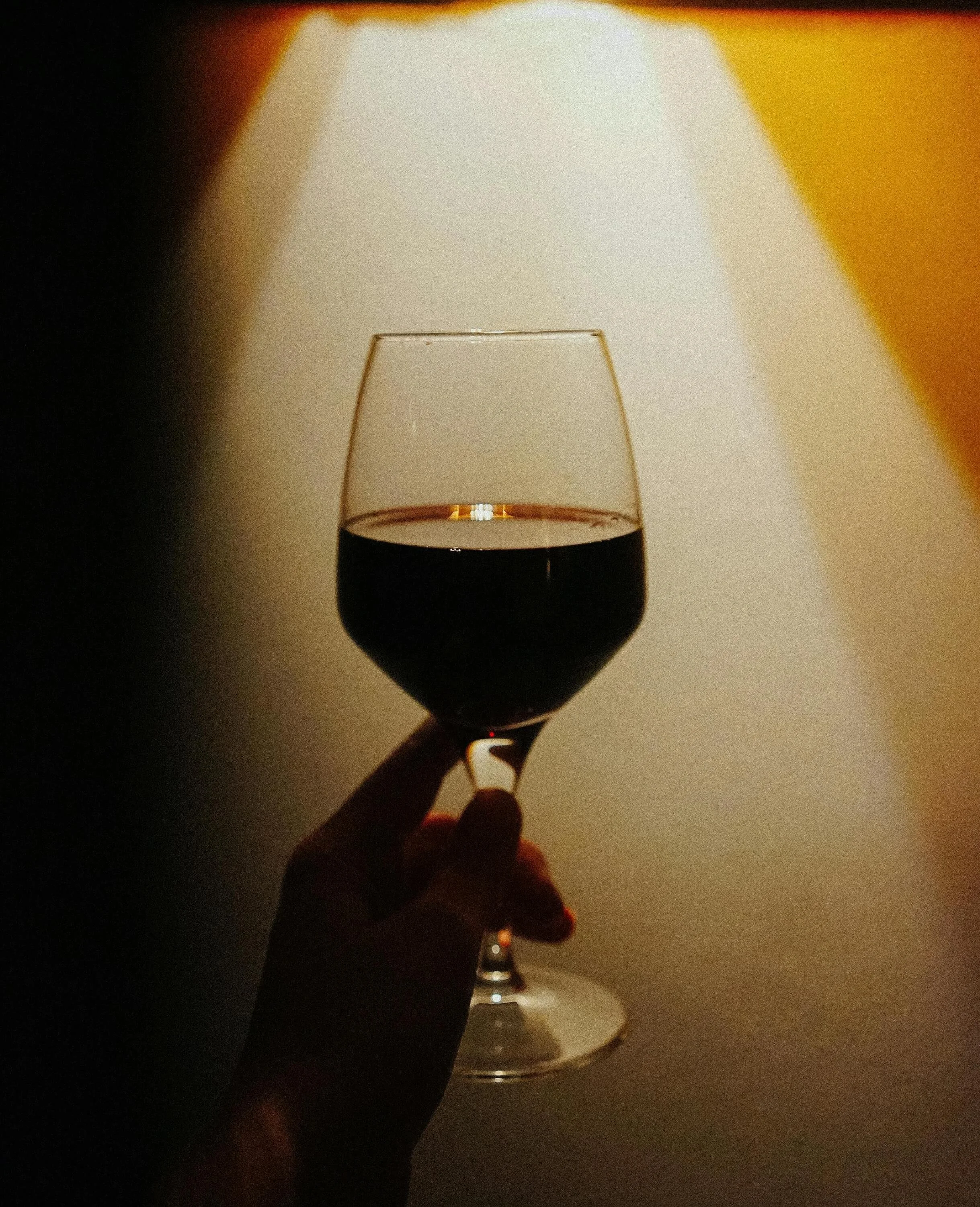 A hand holding a glass of red wine in front of a wall with a hanging light casting a shadow.