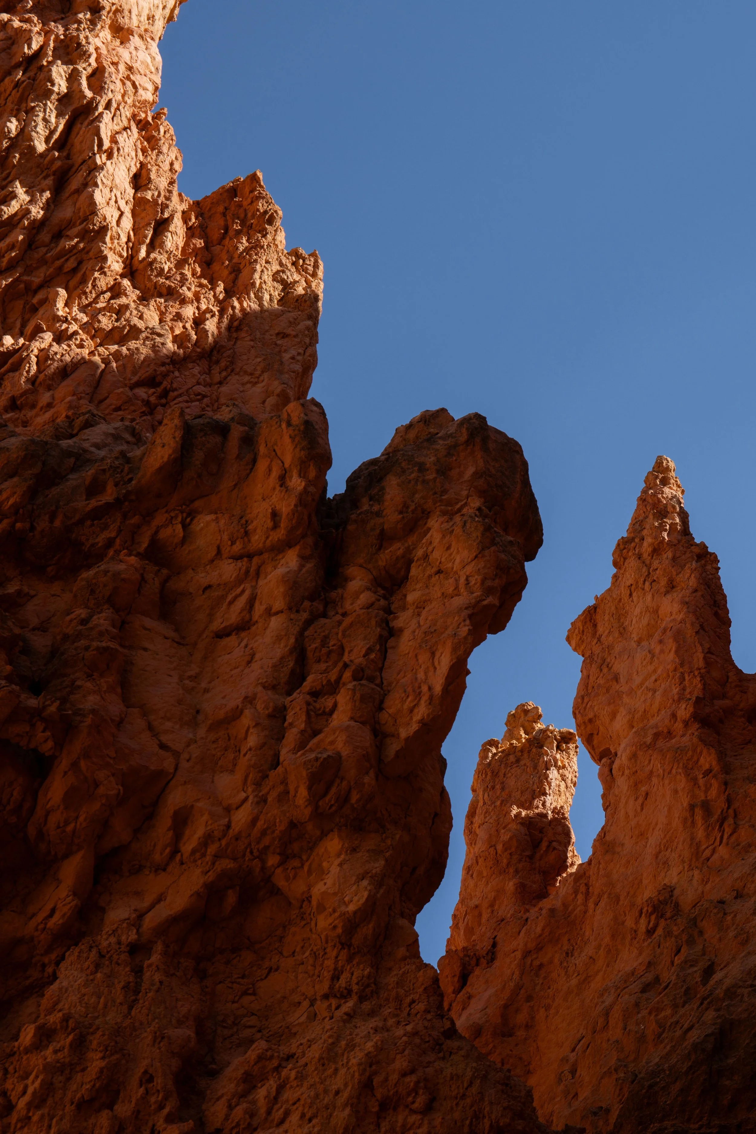 KCG_BryceCanyon-4-vert.jpg