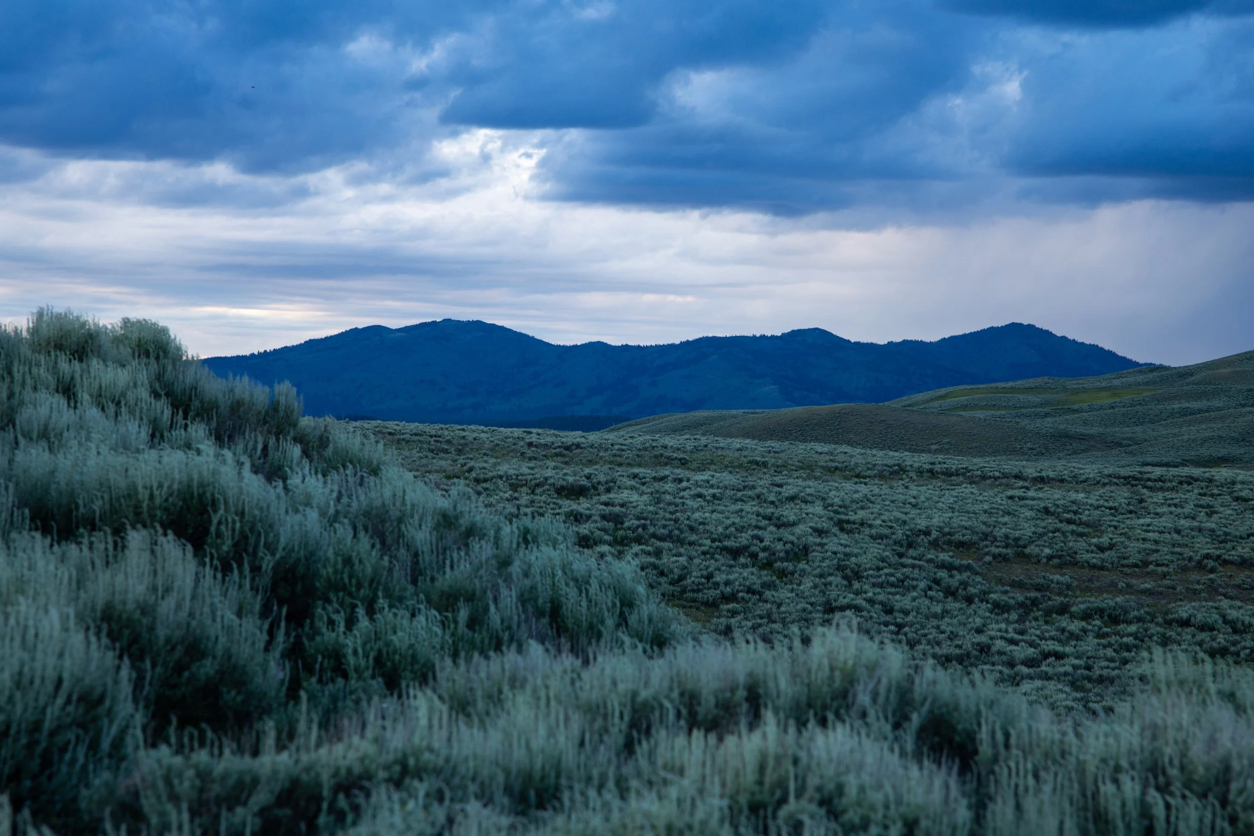 KCG_Yellowstone-16.jpg