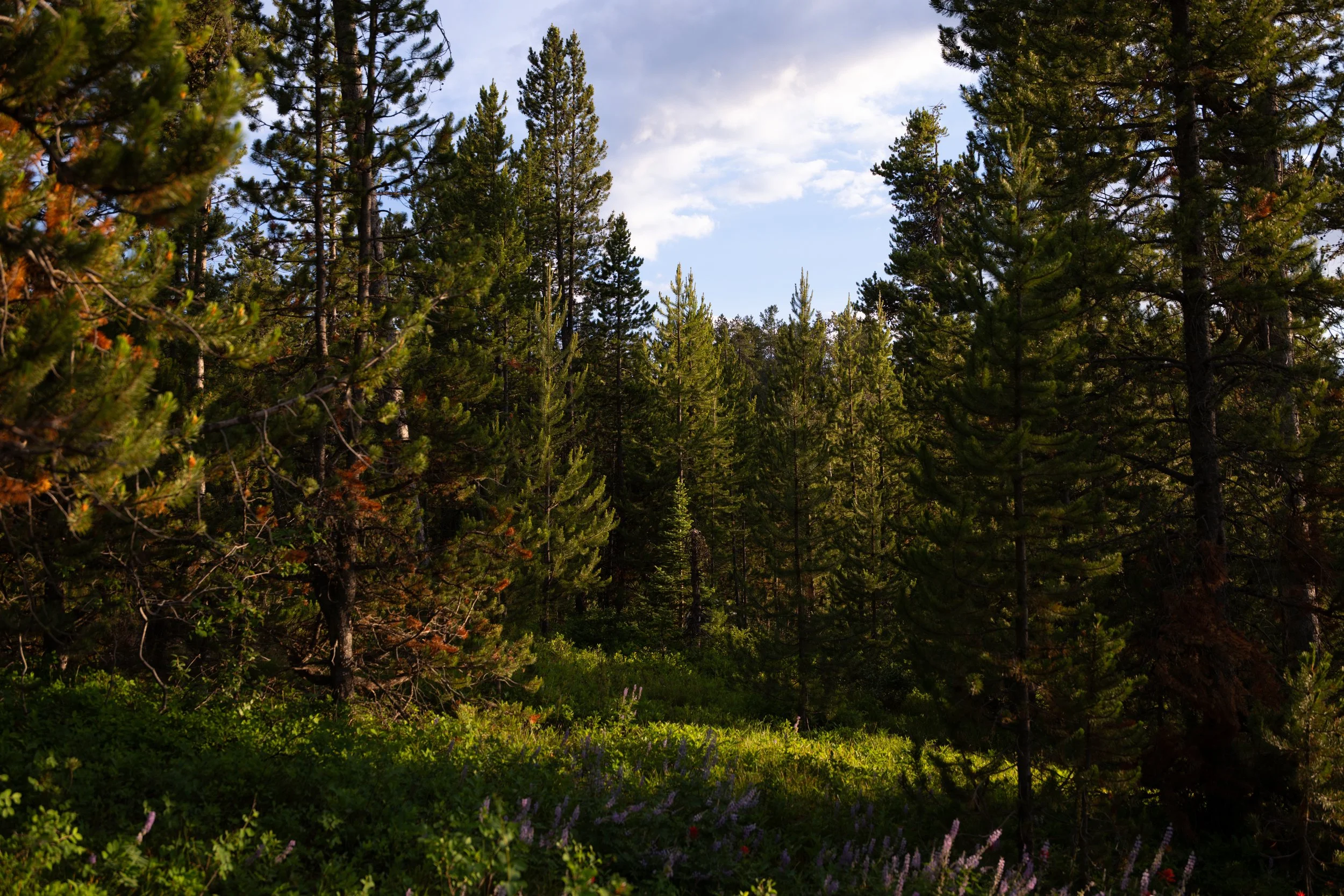 KCG_GrandTeton-2.jpg