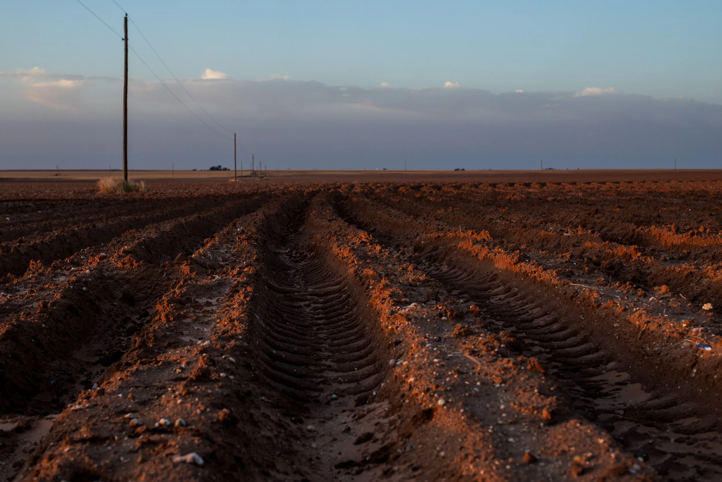 KGB_MikeGreenlee_CottonFarm-2.jpg