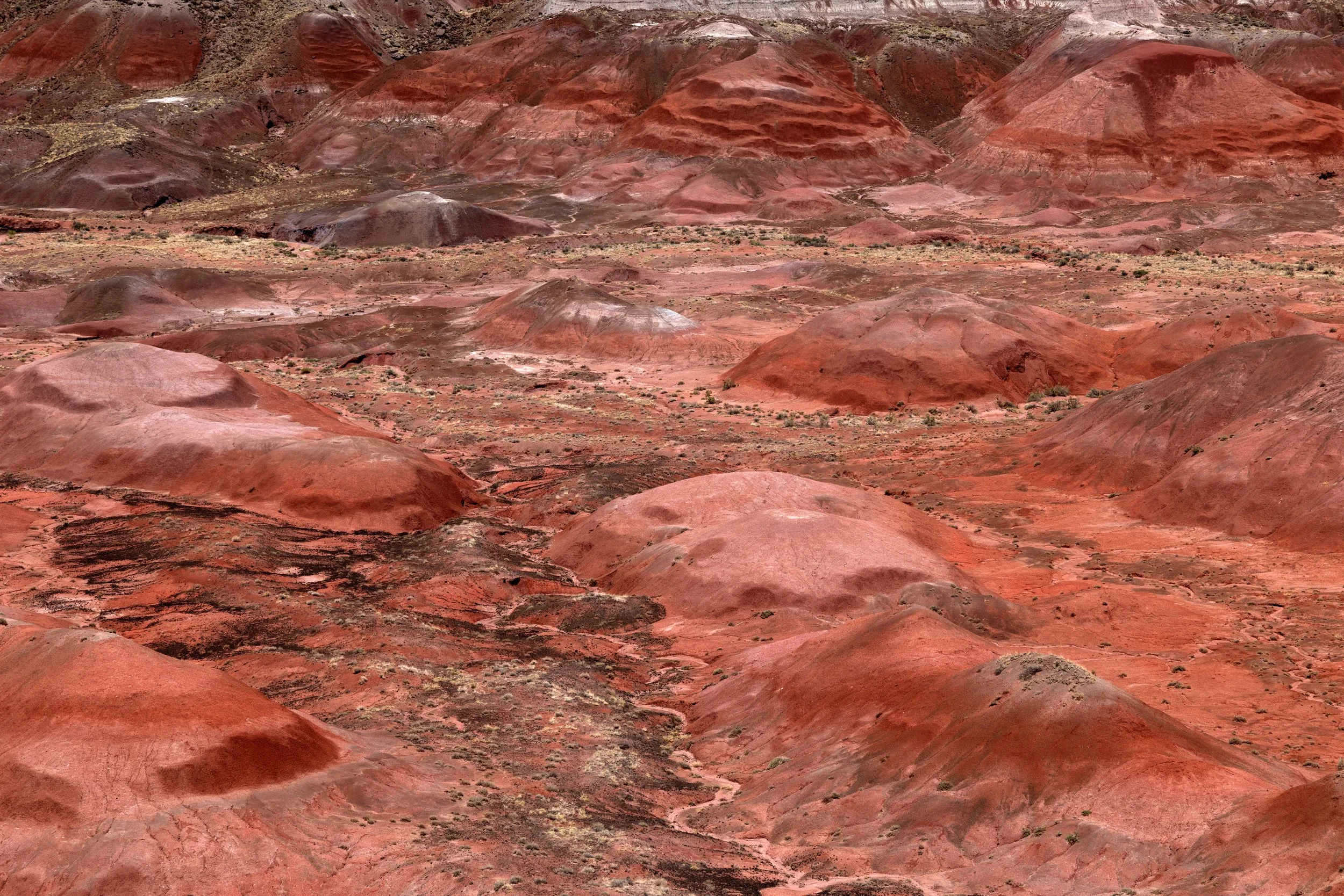 KCG_PetrifiedForestNationalPark-11.jpg