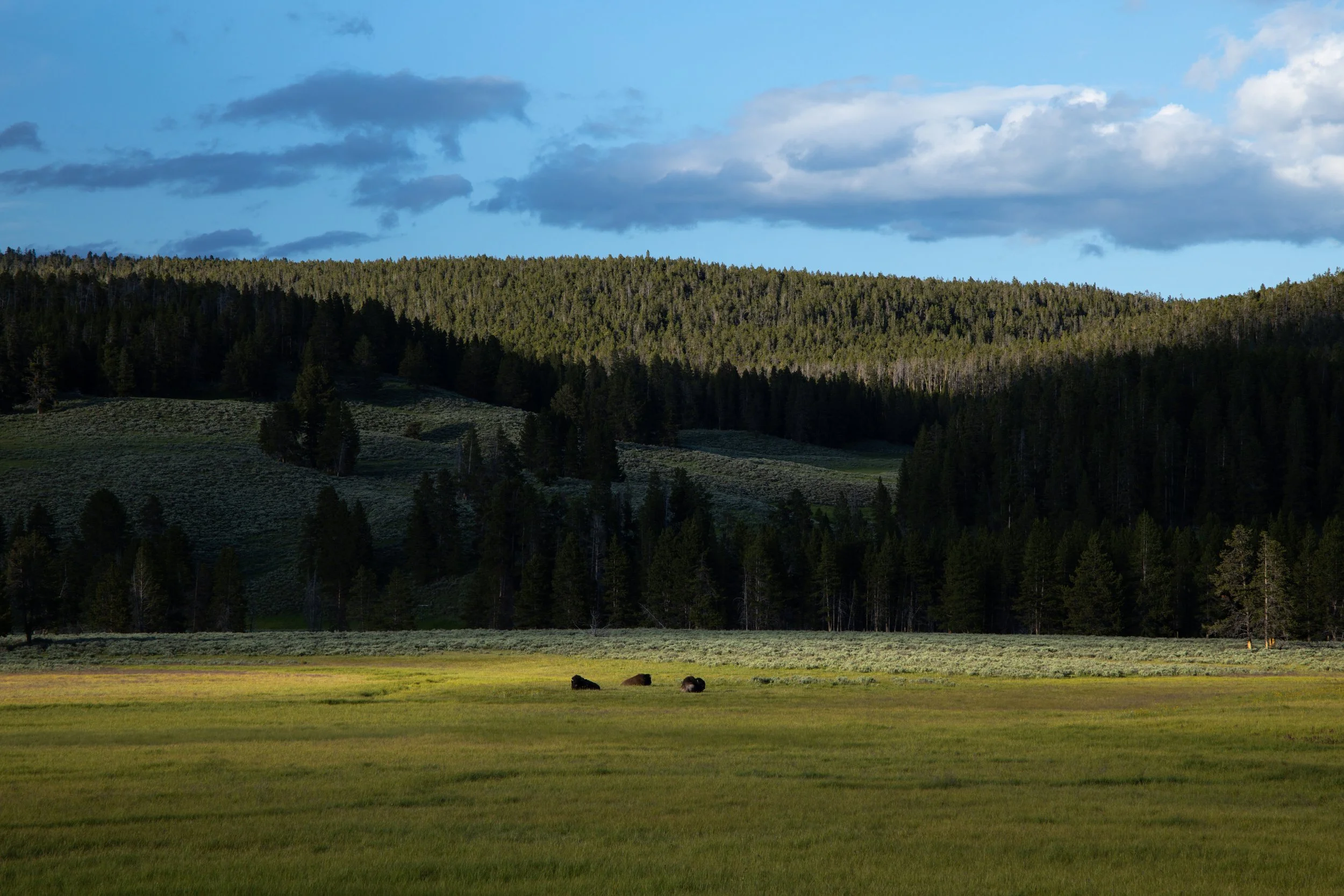 KCG_Yellowstone-11.jpg