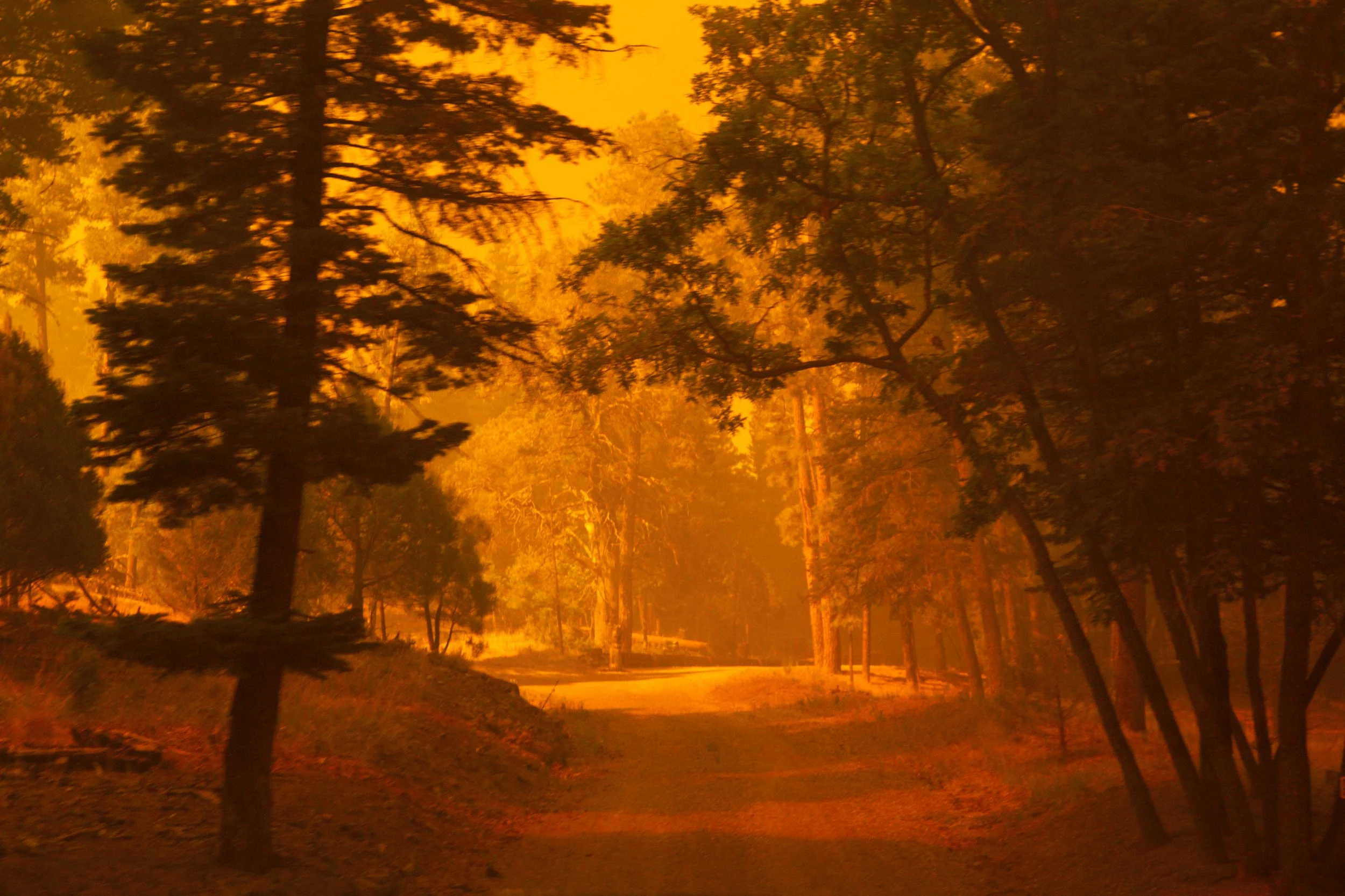 KGB_SouthForkFire-5.jpg