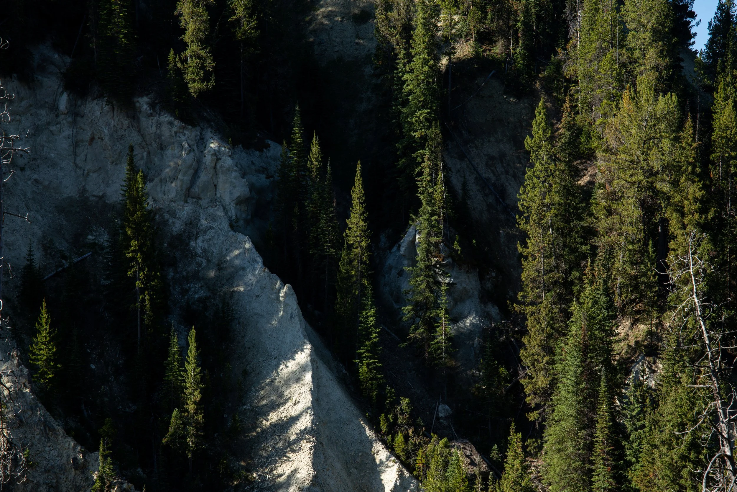 KCG_Yellowstone-22.jpg
