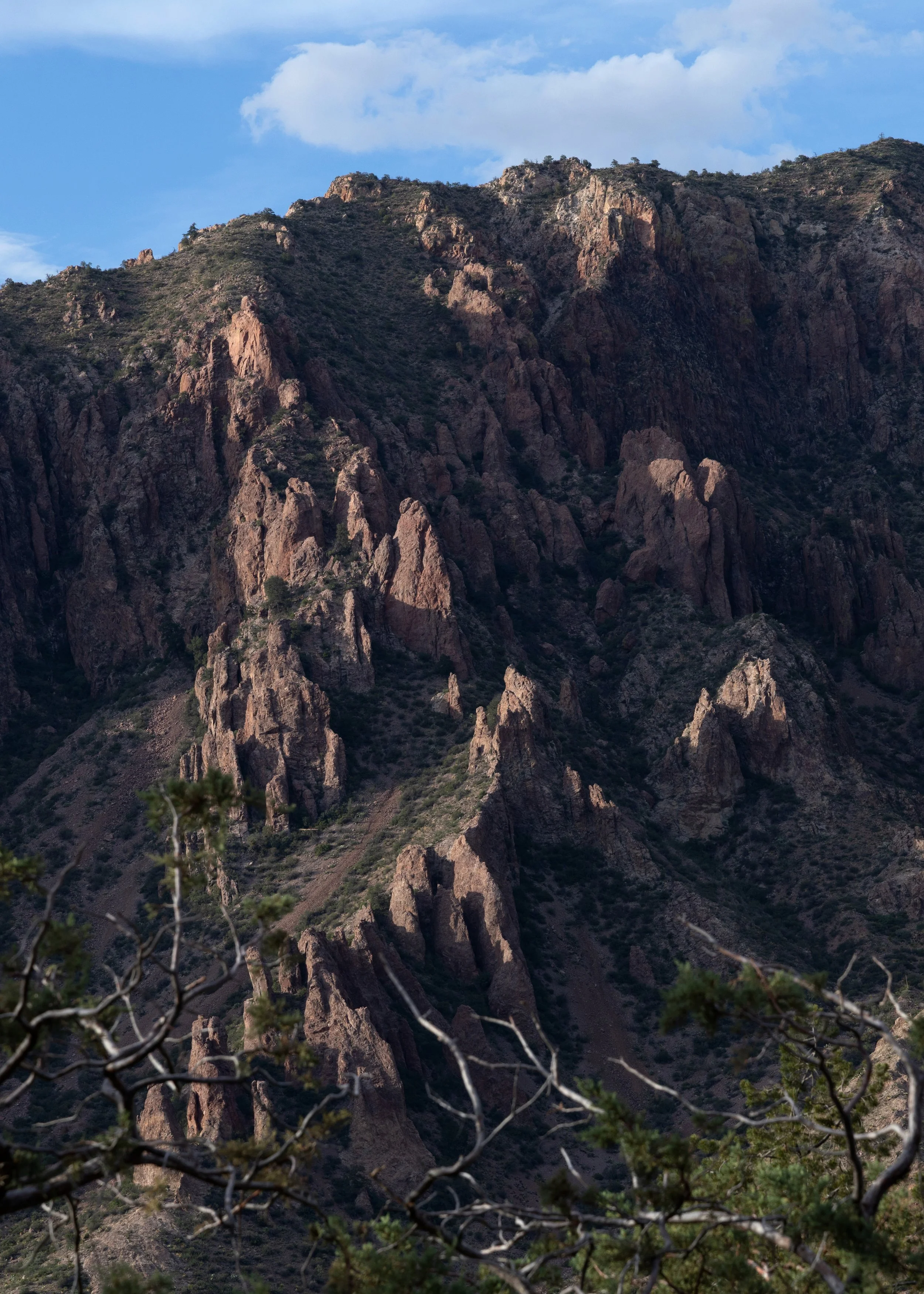 KCG_BigBendNPS-49.jpg