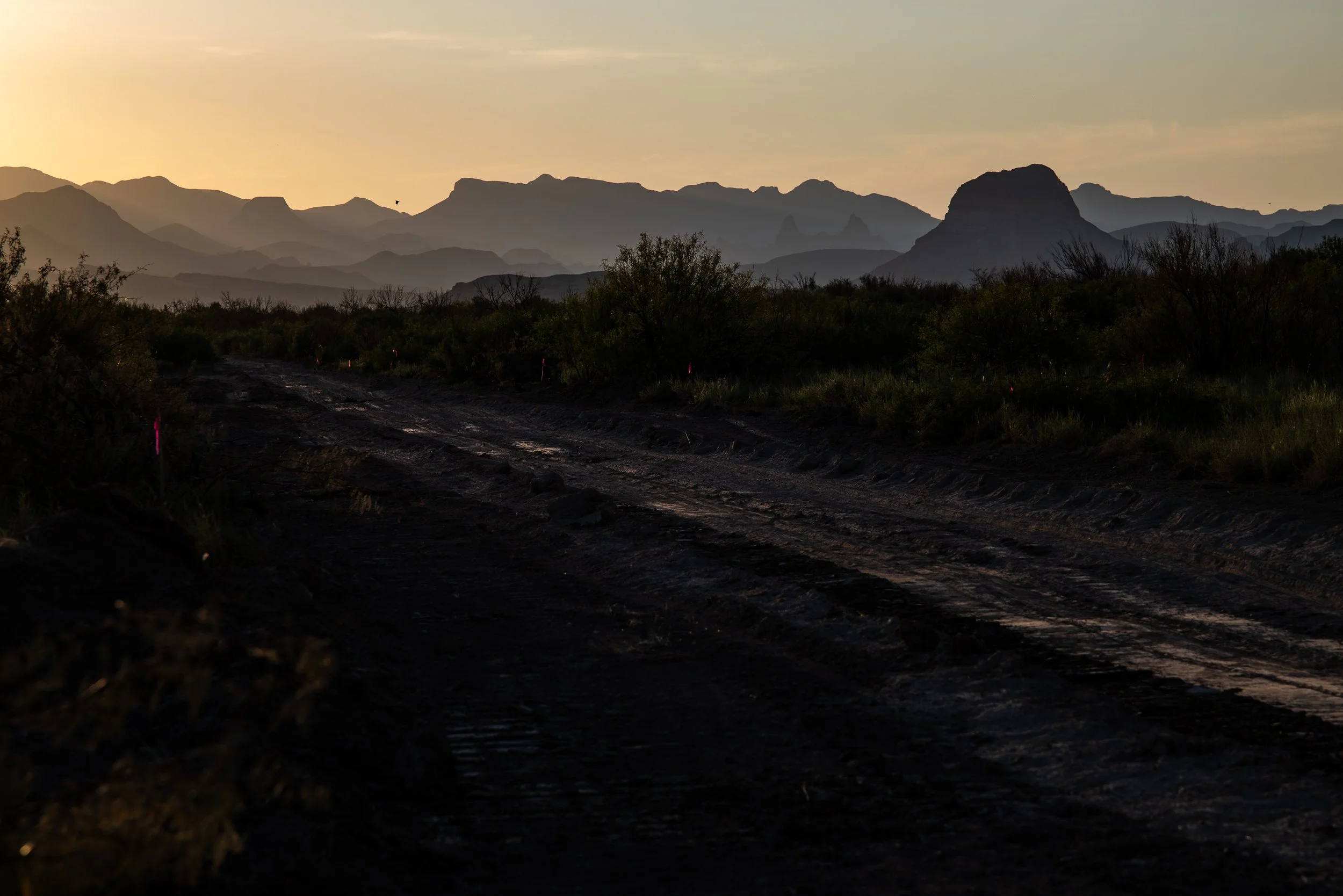 Greenlee Big Bend Clearing-8.jpg