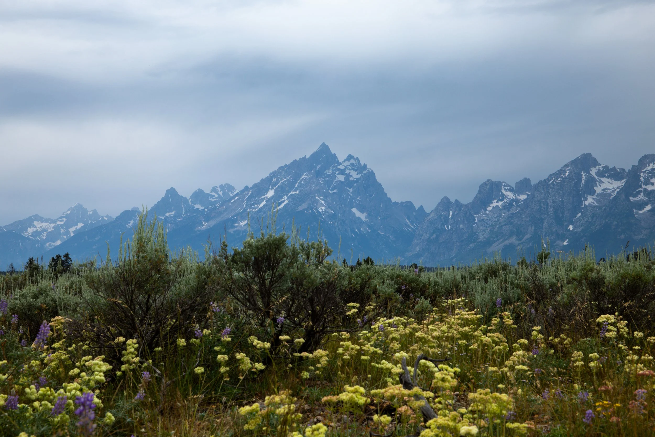 KCG_GrandTeton-4.jpg