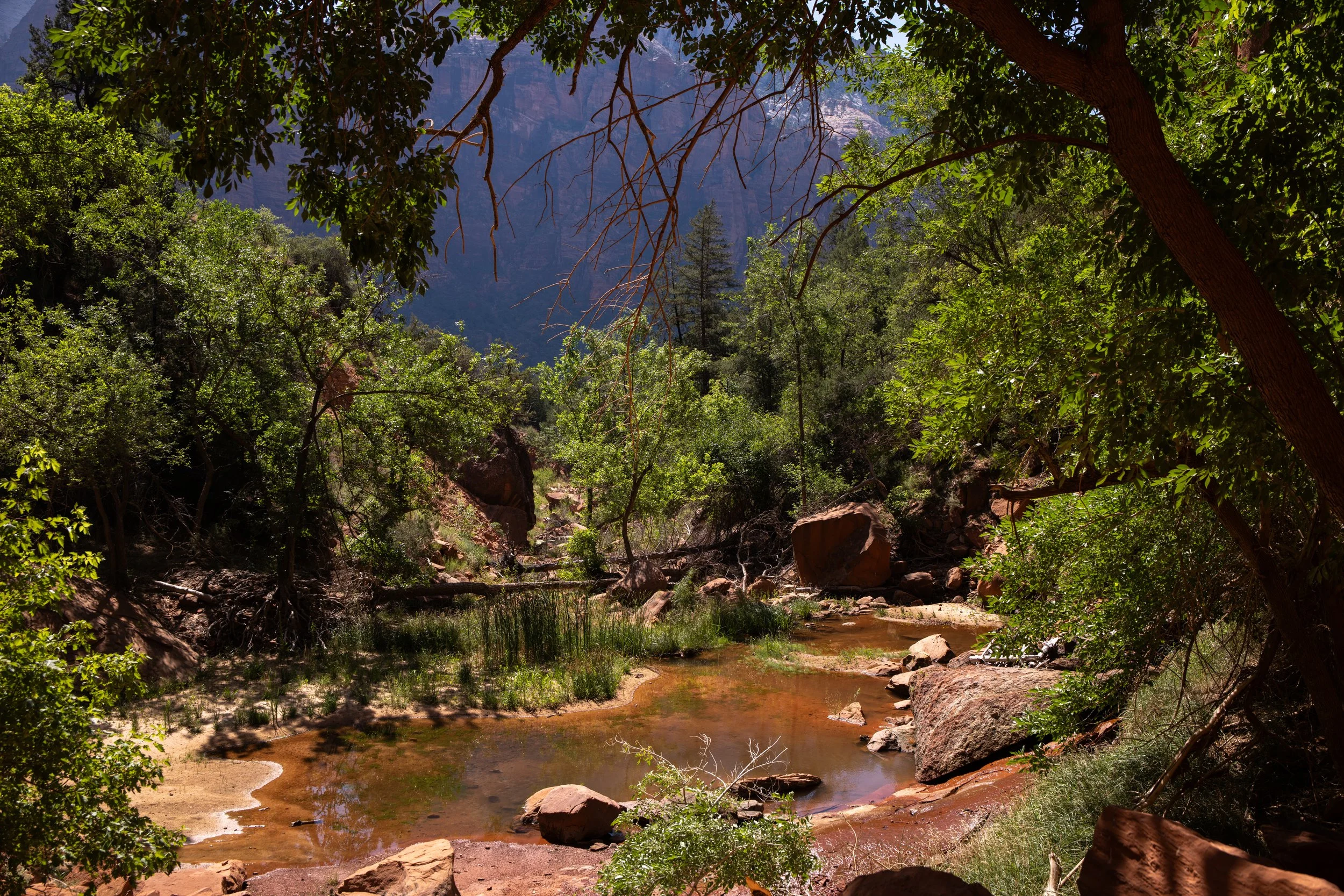KCG_Zion-8.jpg