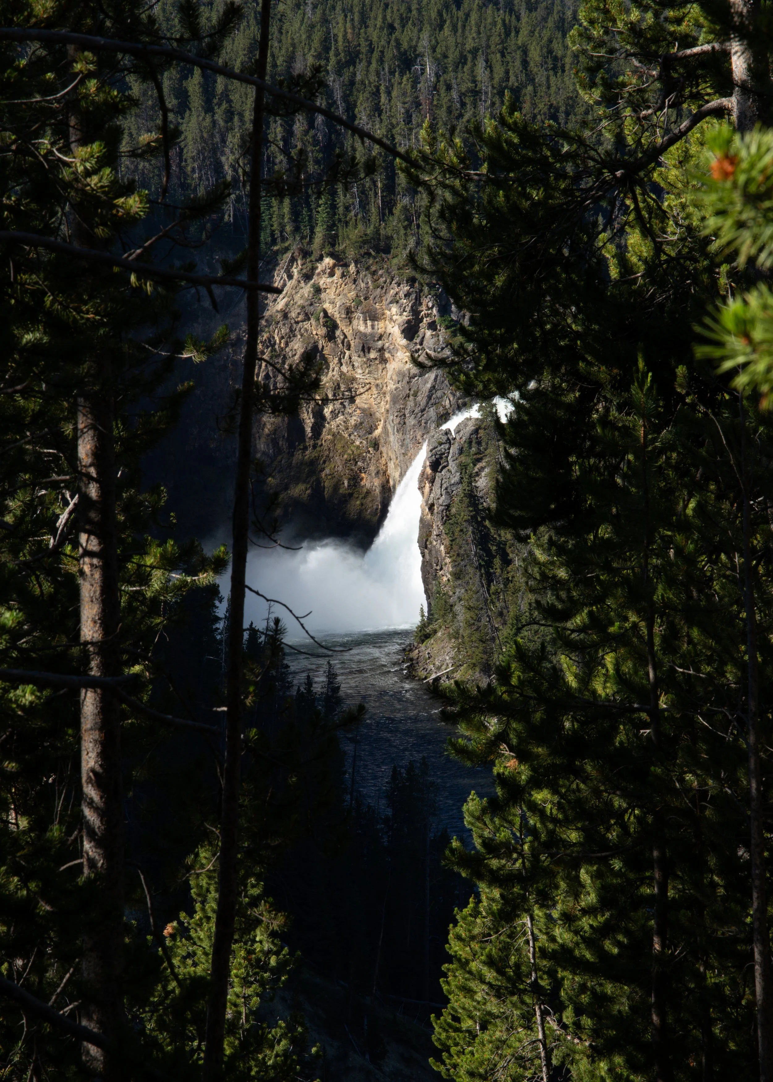 KCG_Yellowstone-21.jpg