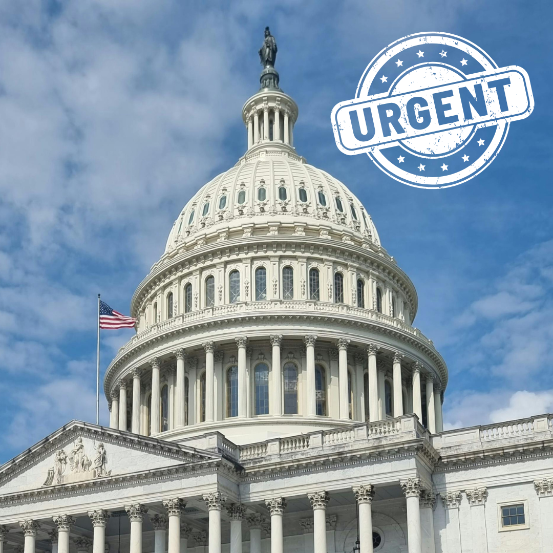 Adopted Children Must Be Allowed to Come Home