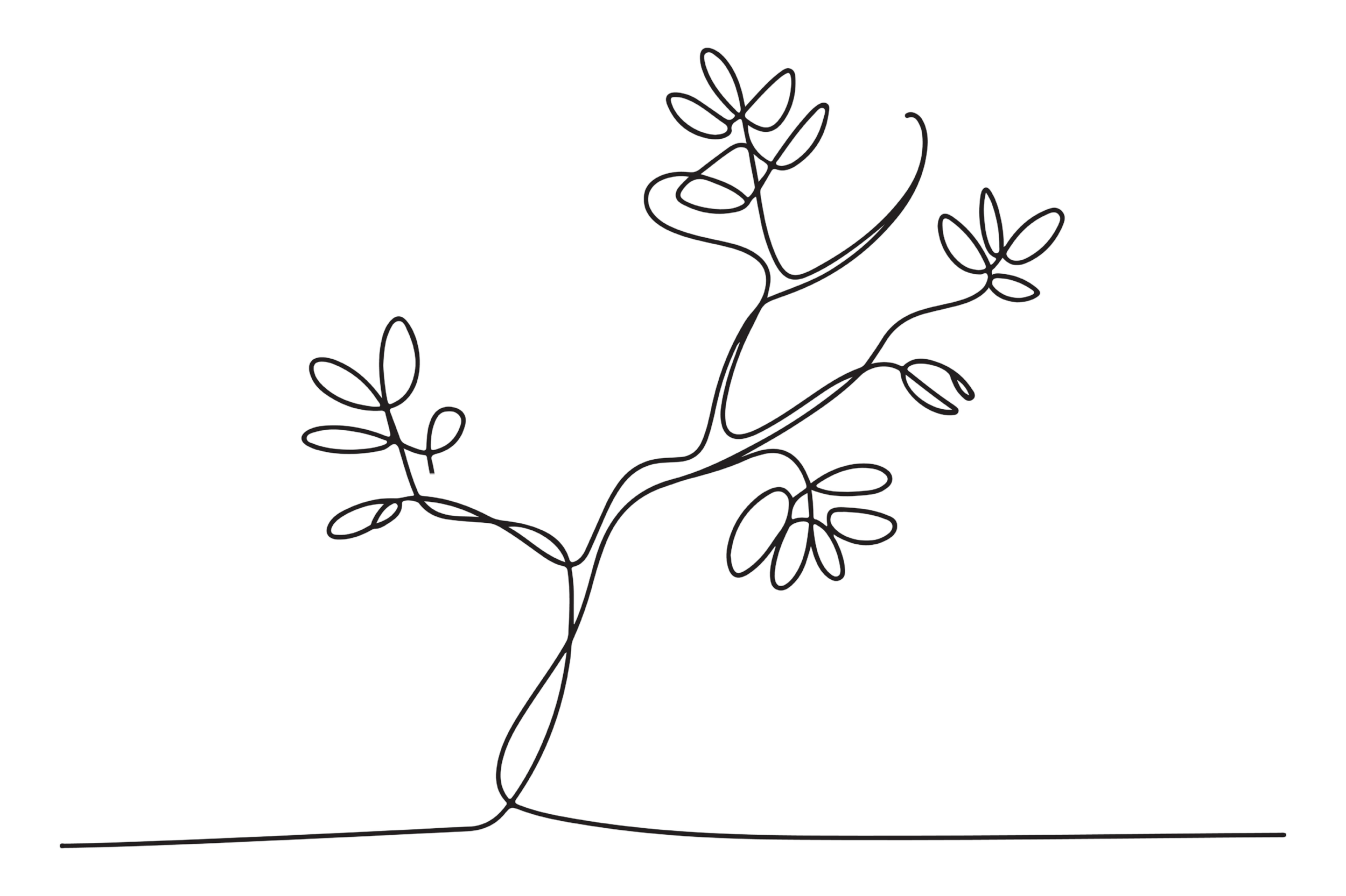 Juniper Therapy - Line drawing of a tree representing parenting