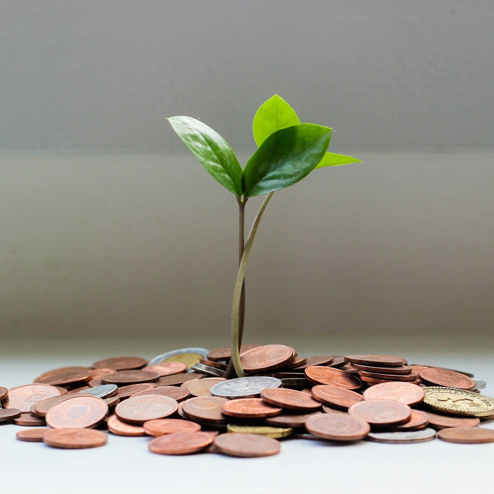 Whole Life Insurance Cash Value Explained