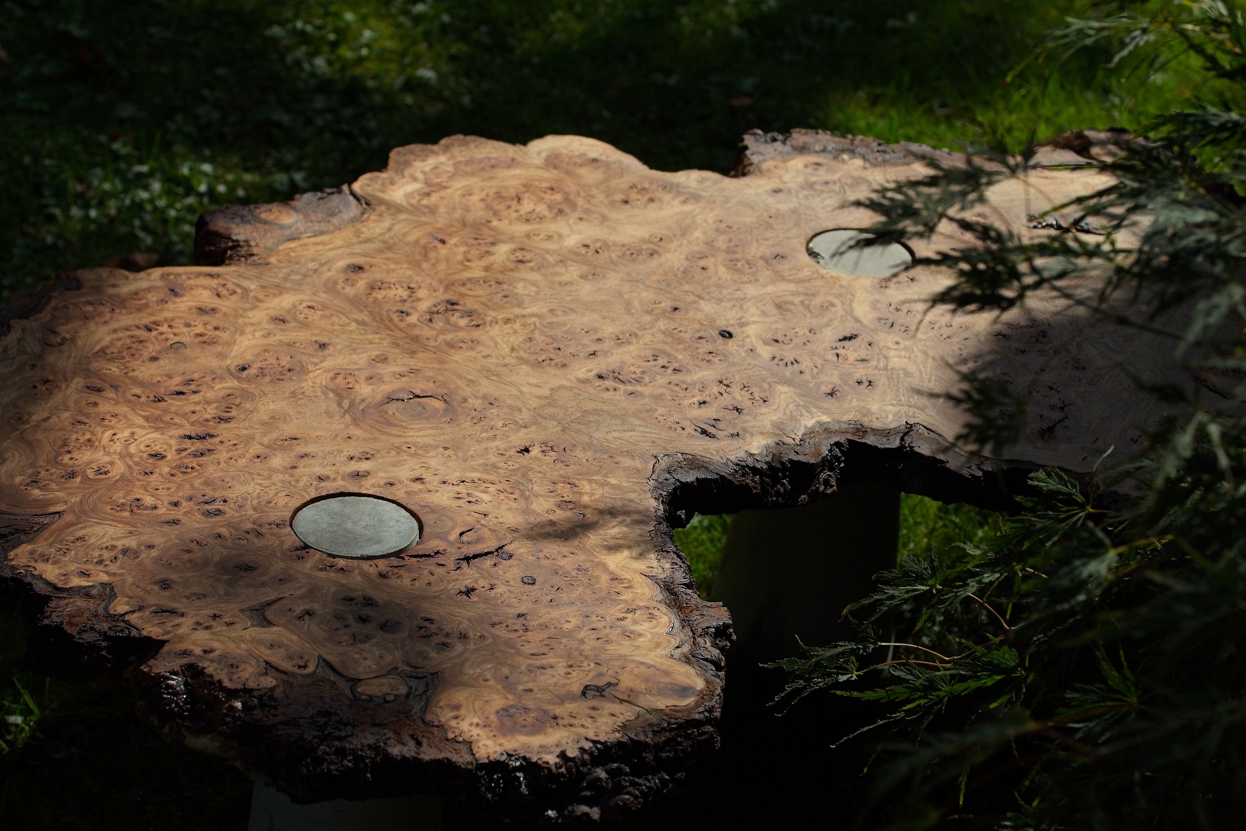 Makro view of “Untamed Balance” by Felix Pordzik — handcrafted wood and concrete sculpture blending organic burl textures with geometric balance.