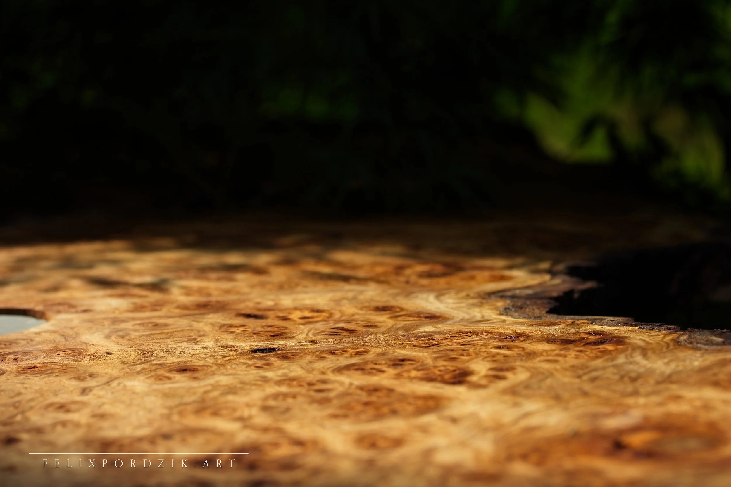Macro view of the burl wood structure in Felix Pordzik’s “Untamed Balance” — vivid grain patterns illuminated by sunlight.
