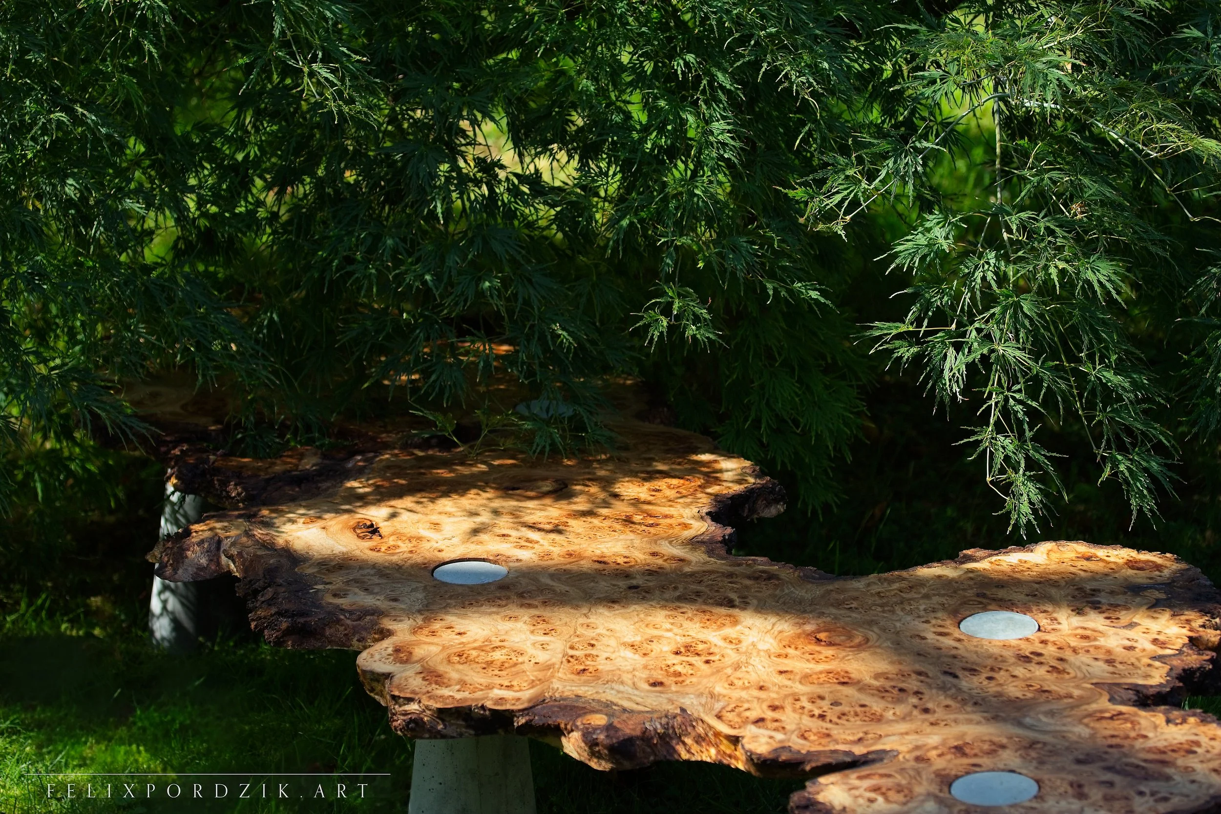 “Untamed Balance” installation — modern organic table made from burl wood and concrete, uniting nature and structure.