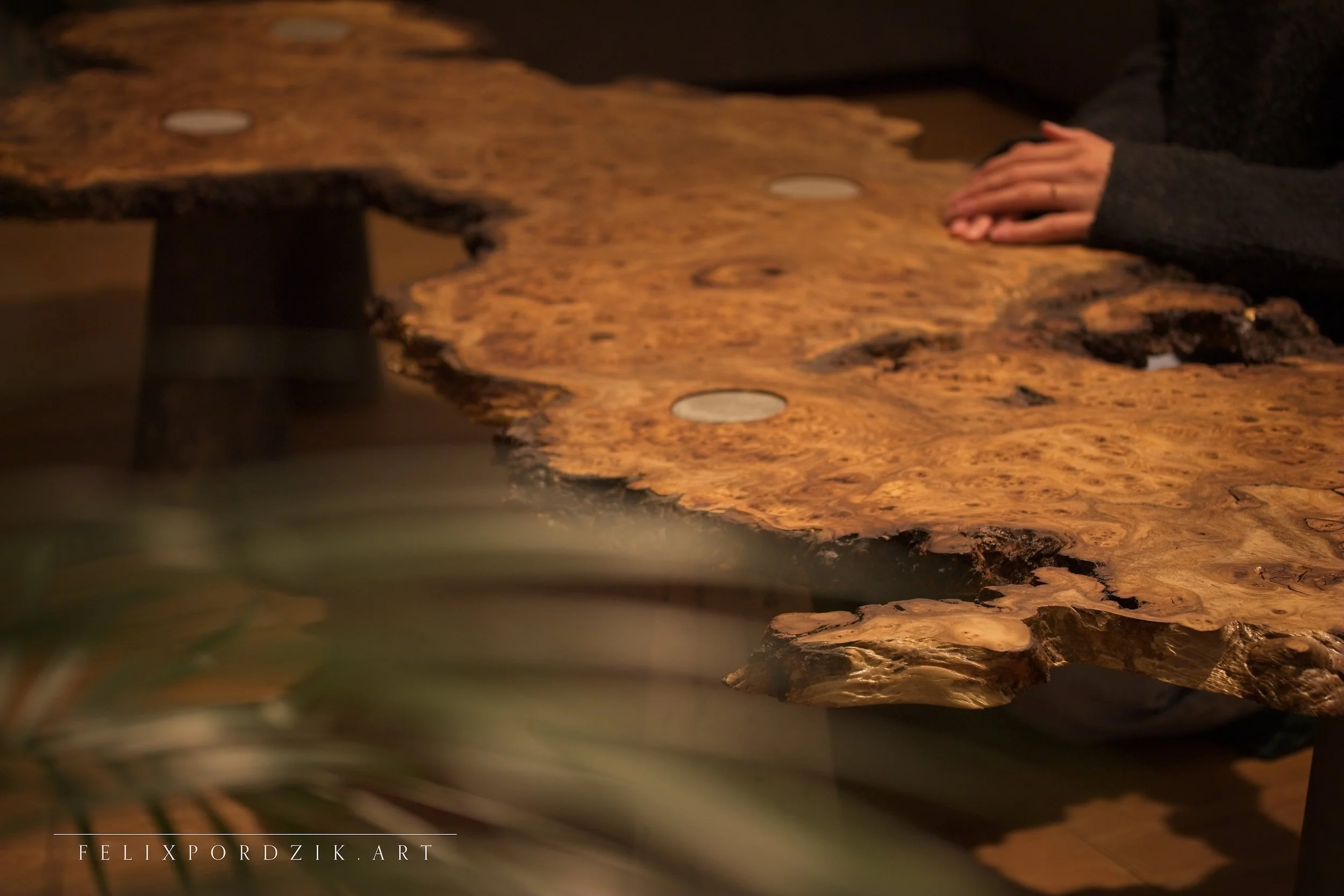 Felix Pordzik’s “Untamed Balance” — wooden surface with deep knots and circular inlays, representing harmony between material contrast.