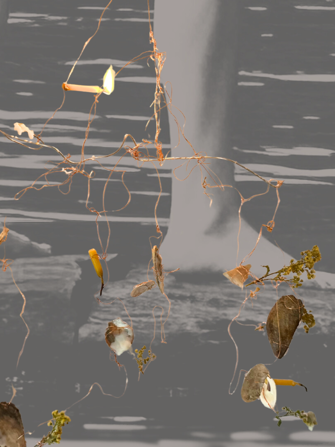 By the Grace of Bivalves