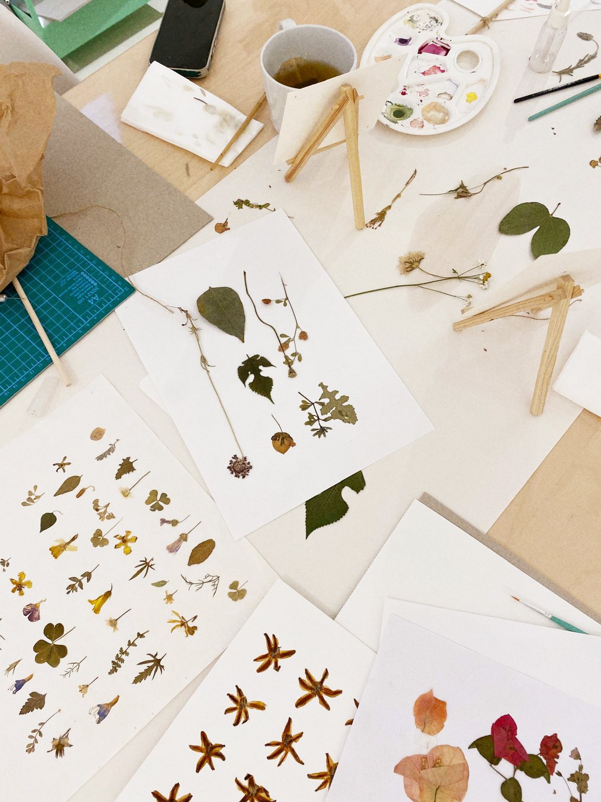 Mesa de trabajo con plantas secas, hojas y flores prensadas, papeles con muestras botánicas, paletas de colores y algunos instrumentos de arte.