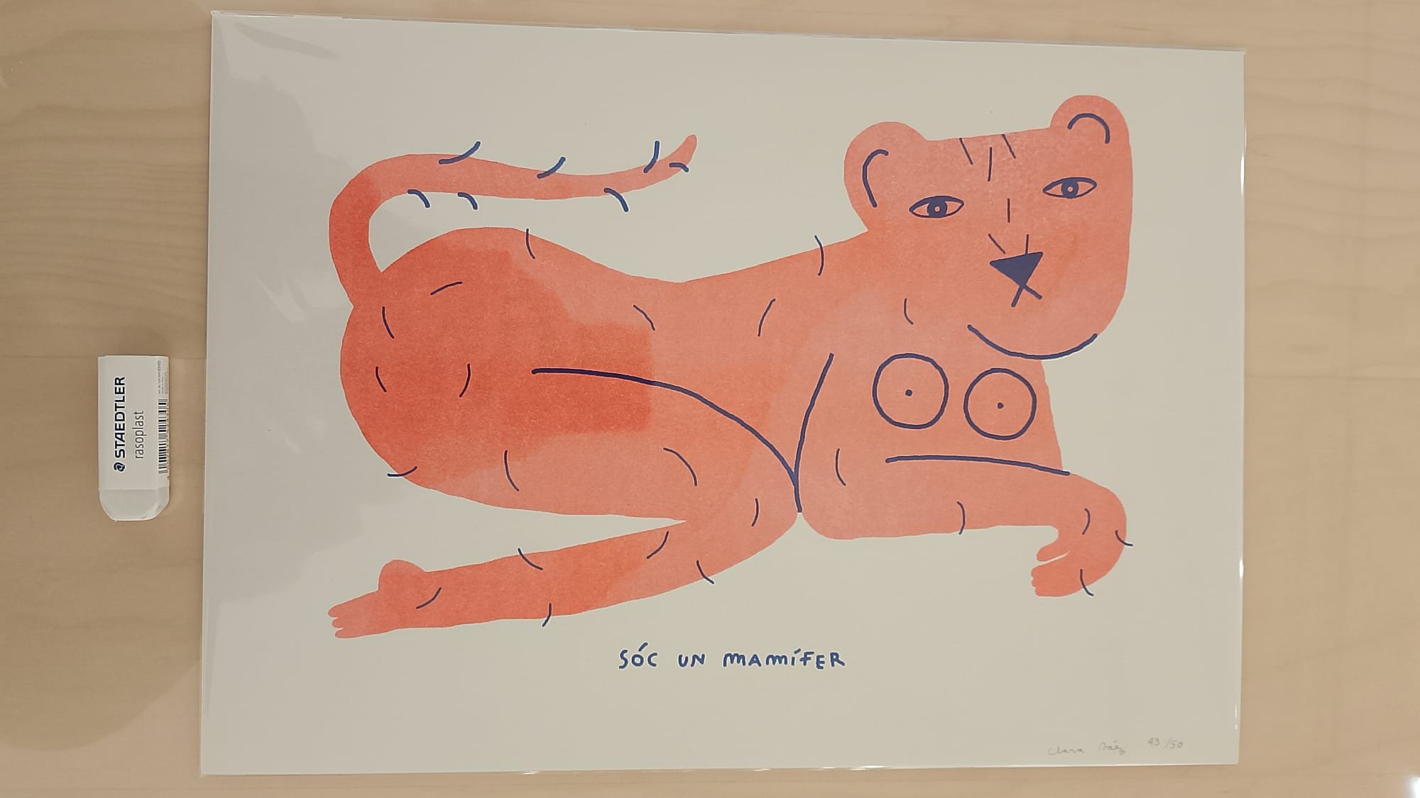 WhatsApp Image 2026-01-18 at 12.52.34 (2).jpeg