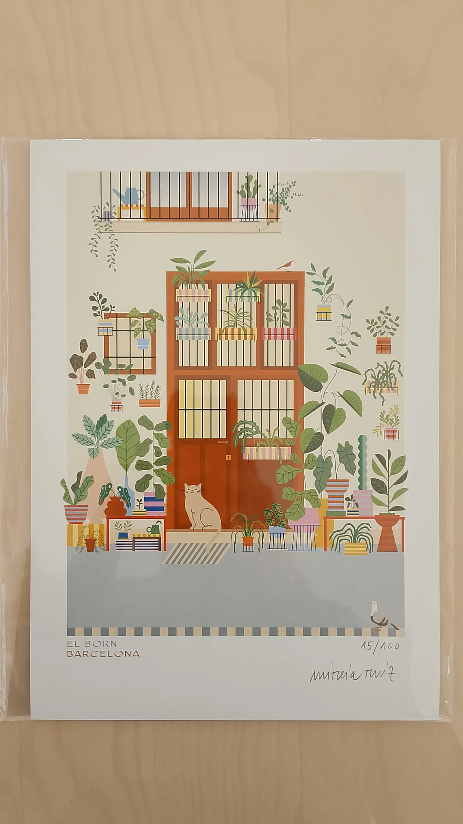 WhatsApp Image 2026-01-18 at 12.52.40 (2).jpeg