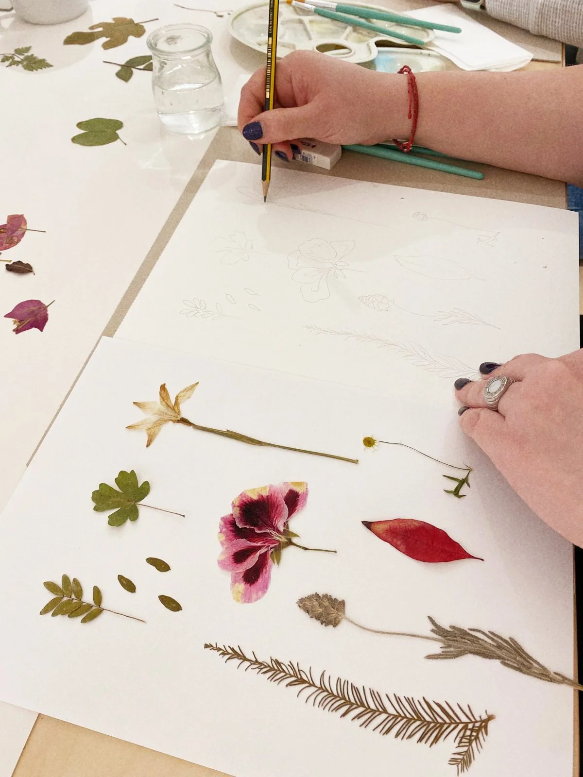 Persona haciendo un boceto de flores y hojas prensadas en una hoja de papel, con varios tipos de hojas y floretes secos colocados en la mesa.