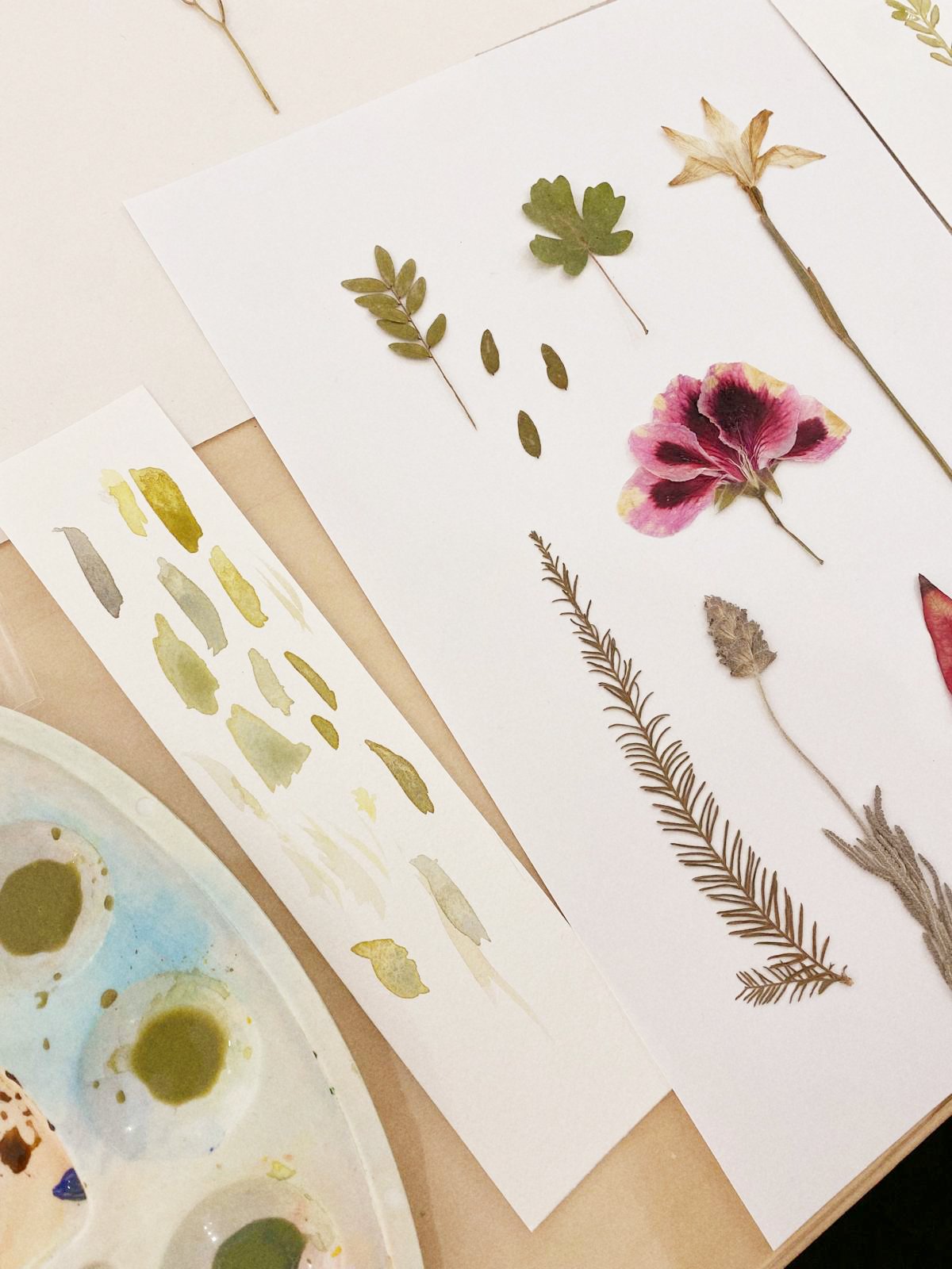 Colección de hojas y flores secas sobre papel, junto a una paleta de pintura con gotas de color.