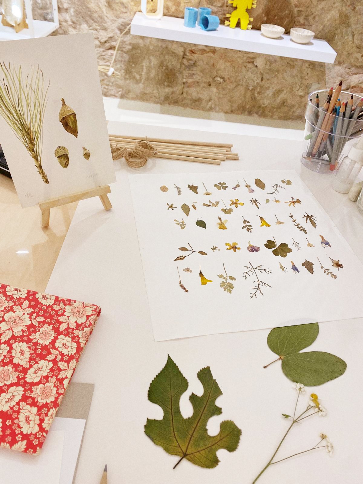 Colección de hojas secas y flores prensadas sobre una mesa, junto a materiales de arte y una ilustración botánica en miniatura.