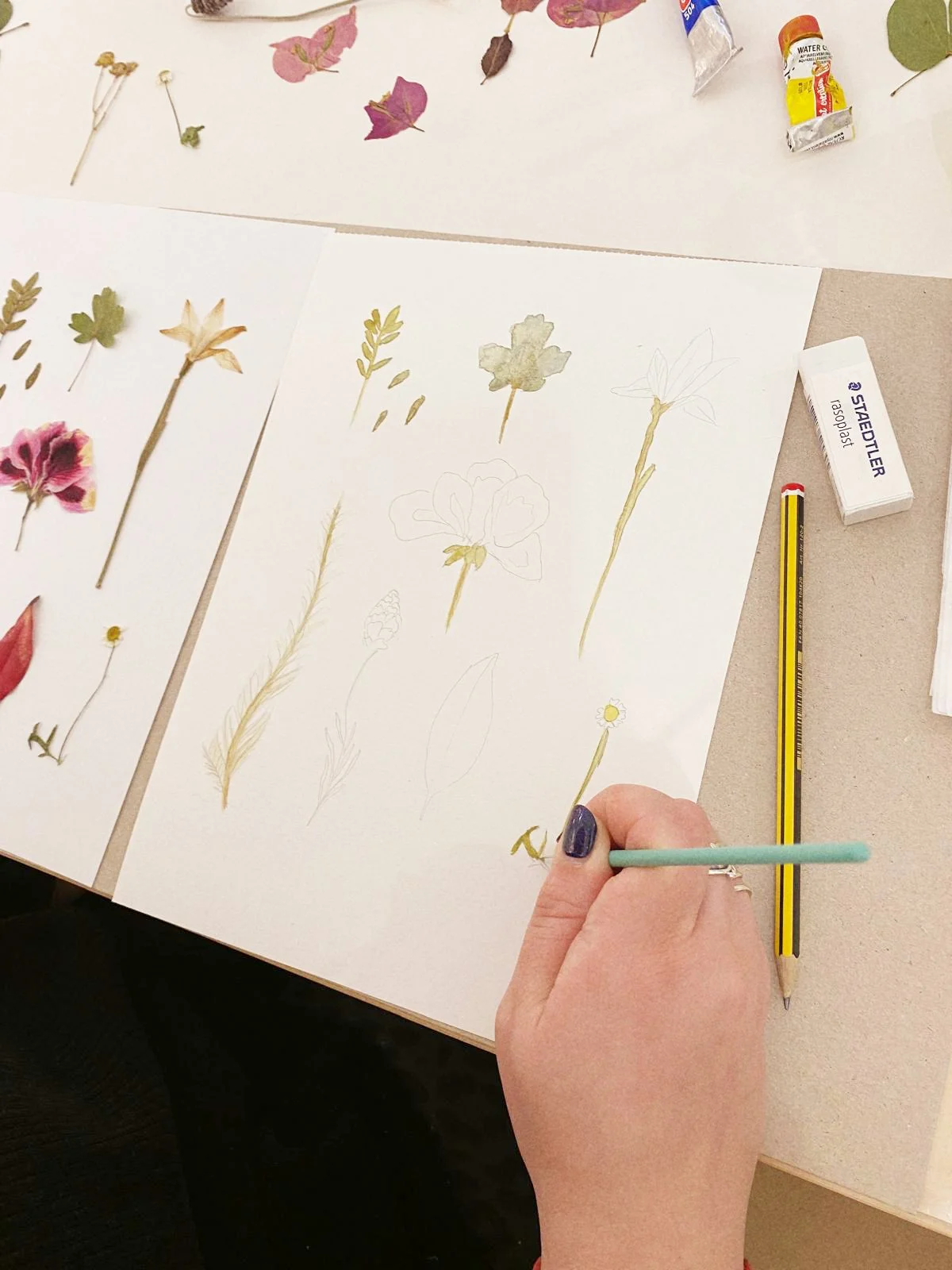 Persona dibujando bocetos de variadas flores con hojas secas y pegadas en hojas de papel.