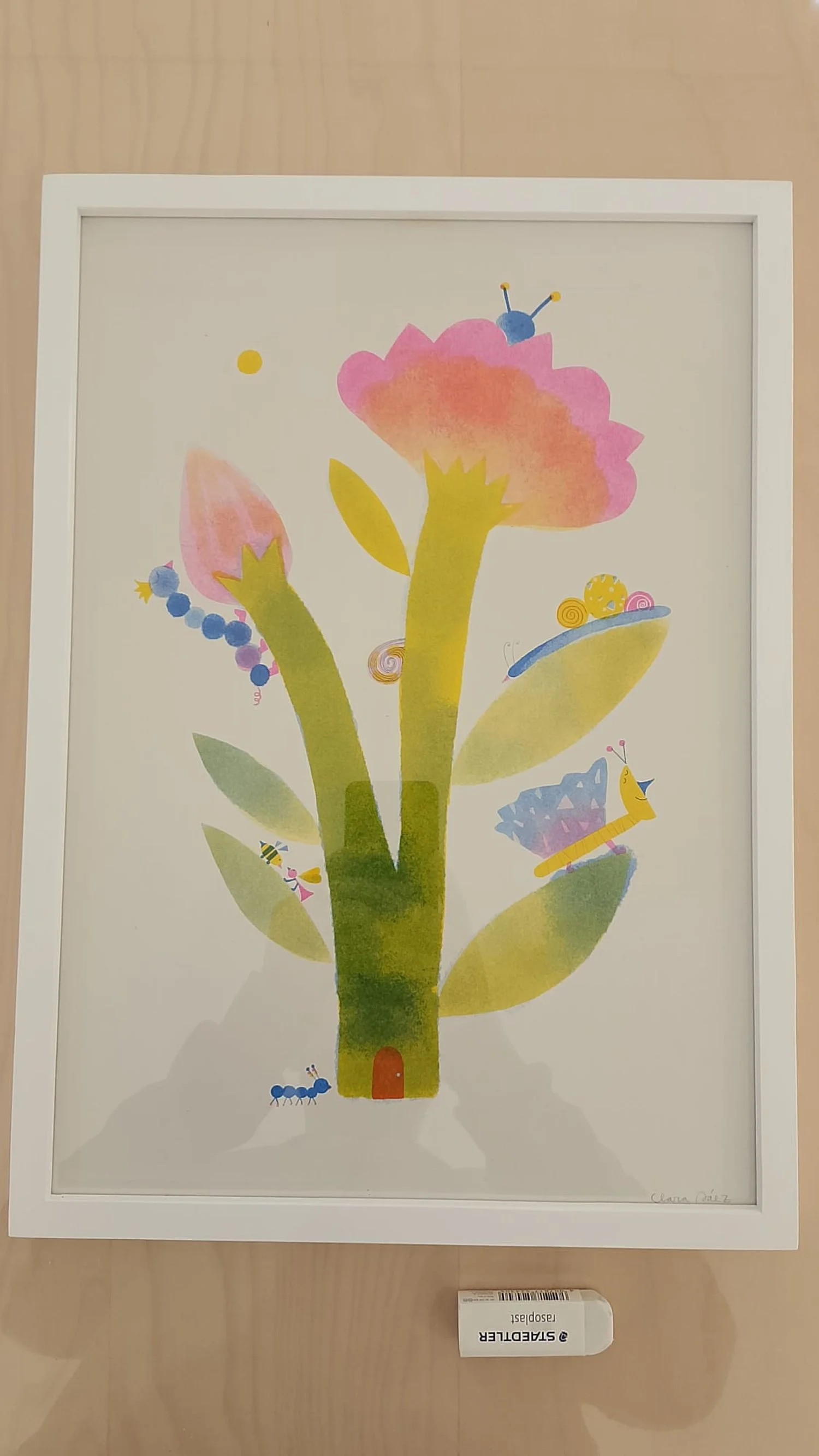 WhatsApp Image 2026-01-18 at 12.52.32.jpeg