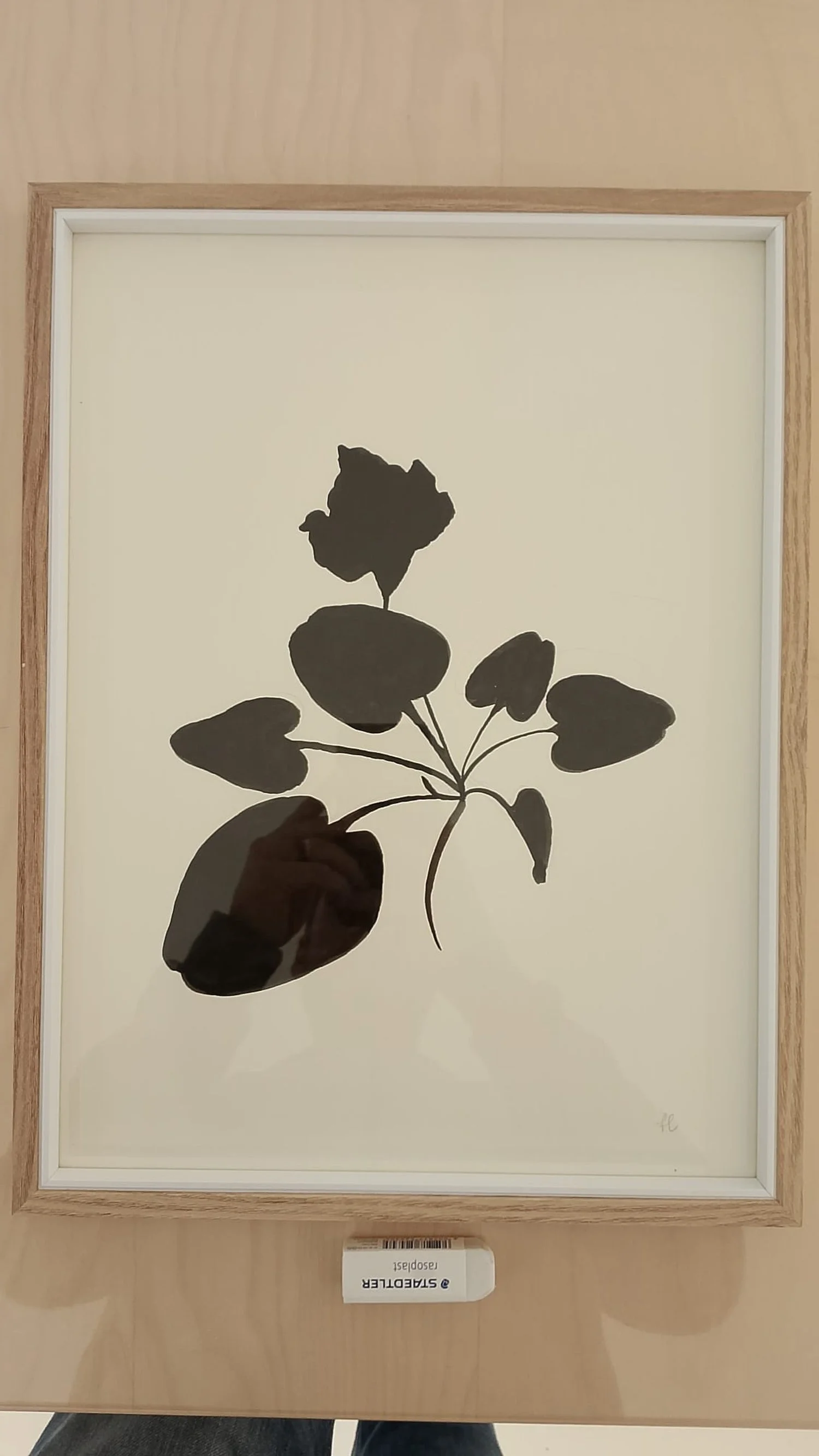 WhatsApp Image 2026-01-18 at 12.52.31.jpeg