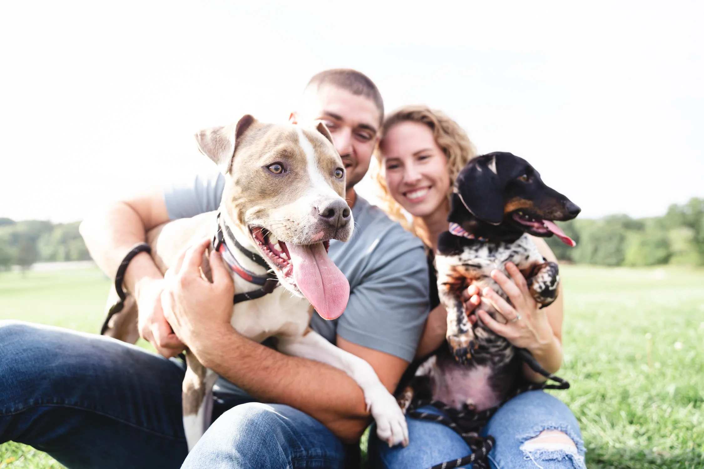 A happy couple sitting on grass outside, each holding a dog, with a background of a green field and trees.
