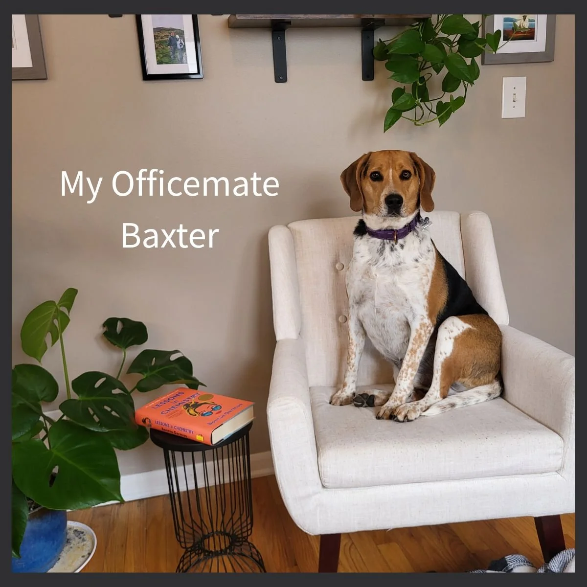 Imposter Syndrome Coaching