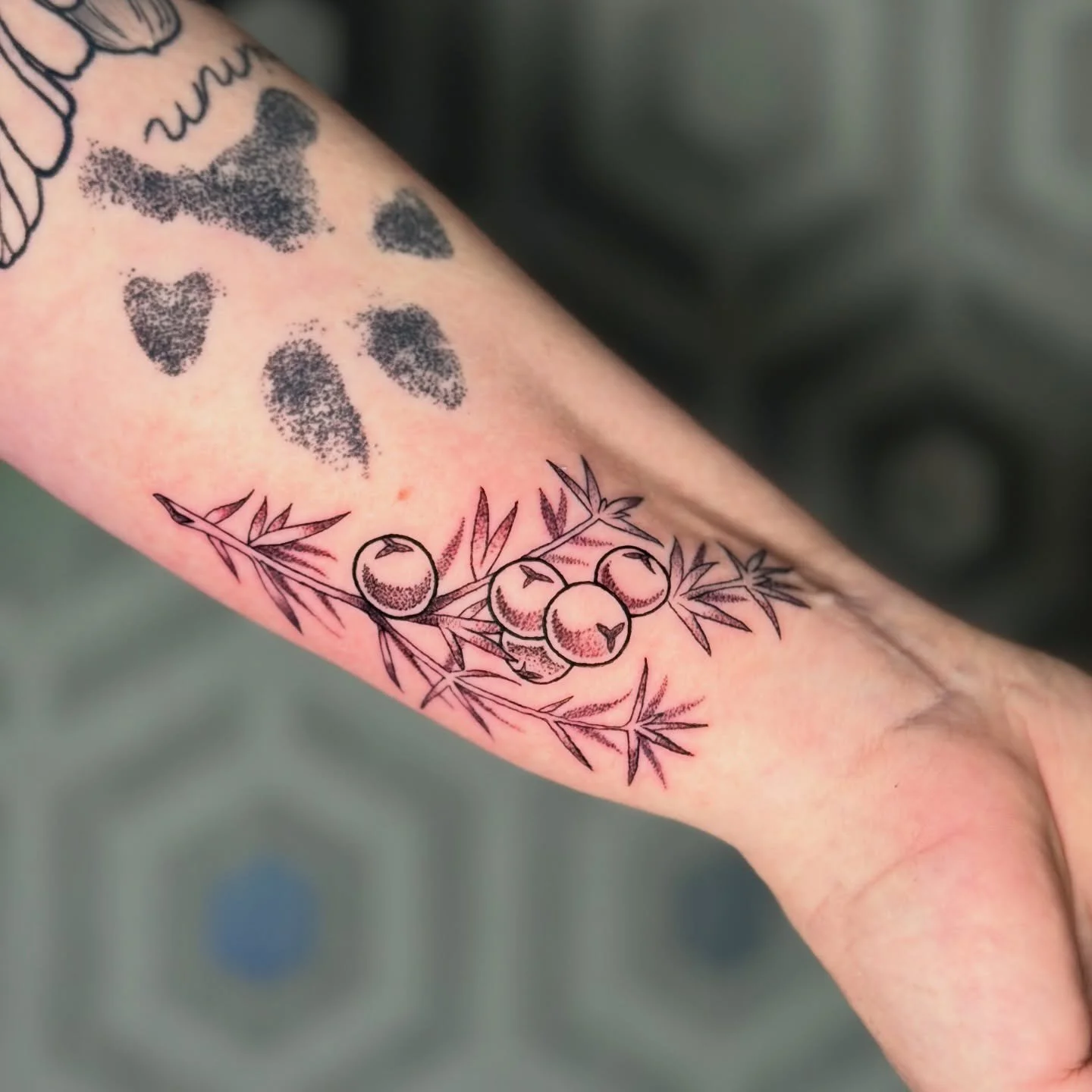 🫐🌲

I was able to add this delicate little juniper branch to Ana&rsquo;s fully healed paw print and acorns the other day! All these tattoos hold great meaning to Ana, so I couldn&rsquo;t be more honoured to do them for her 🥰 

Thanks Ana for alway