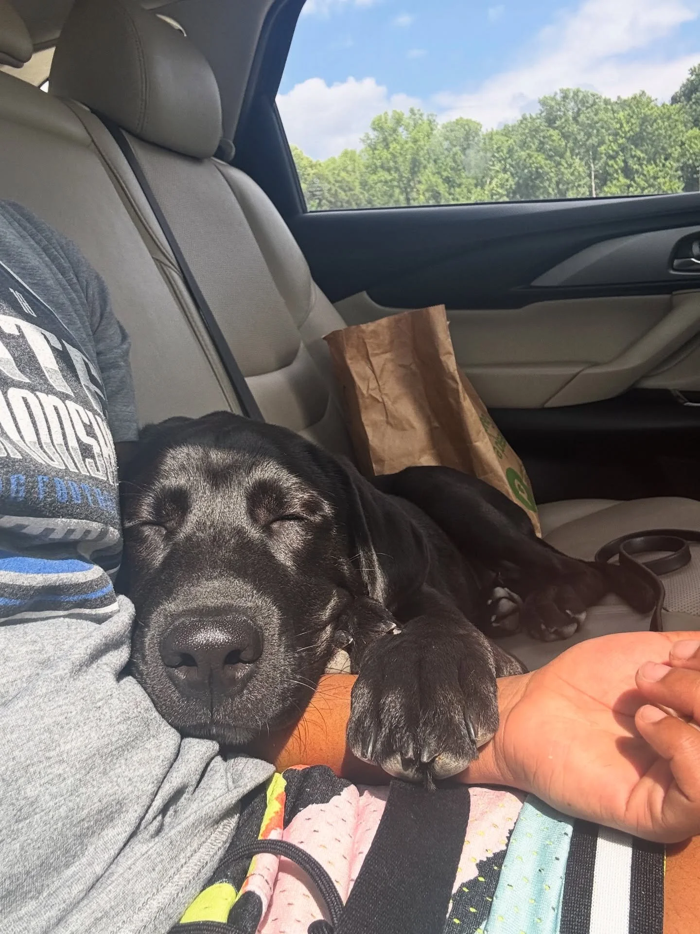 An over due summer sitting dump☀️

#mayasmsb #atlnanny #atlsitter #atldogwalker #atlbabysitter