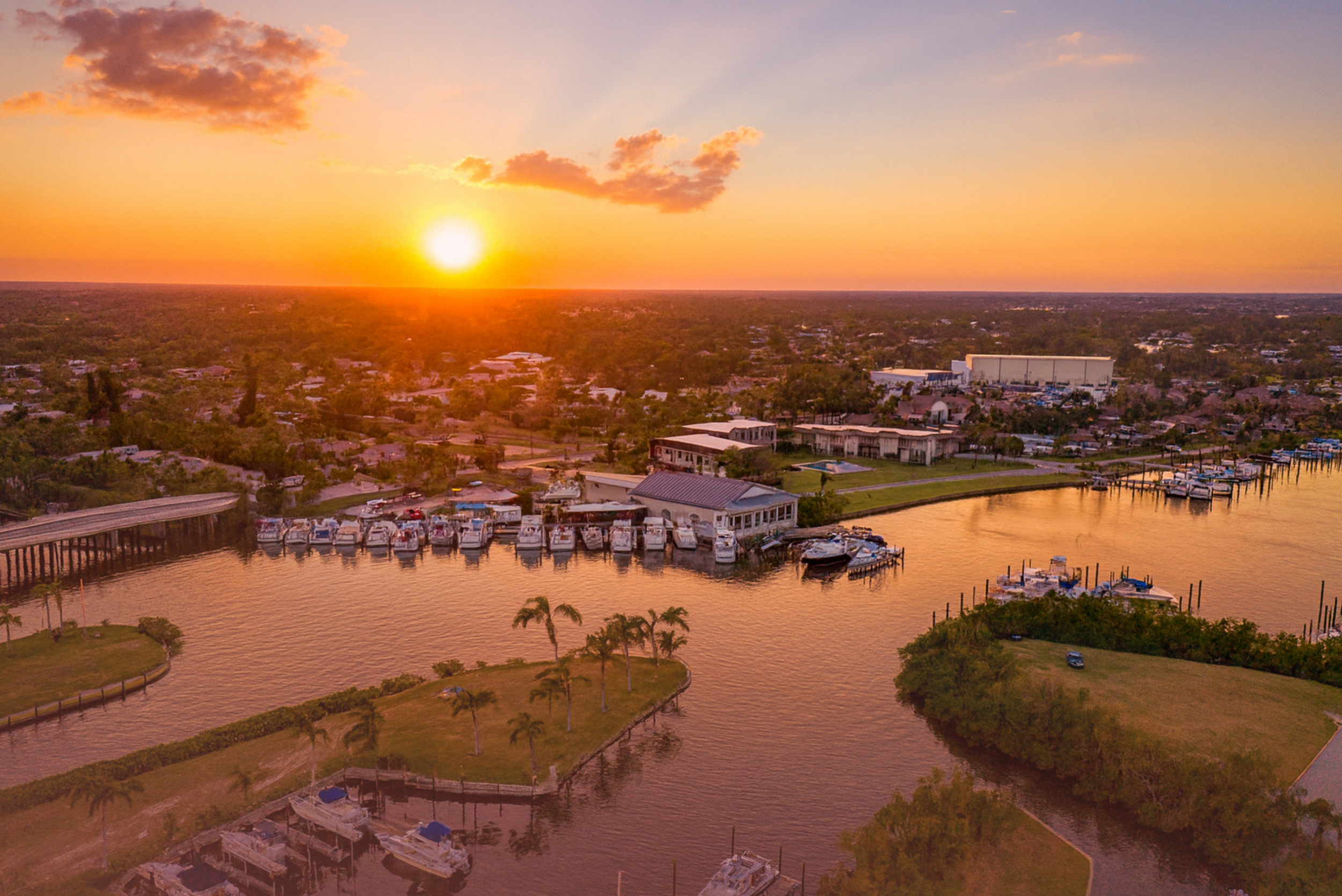 LP Graphic Stuff (7).png